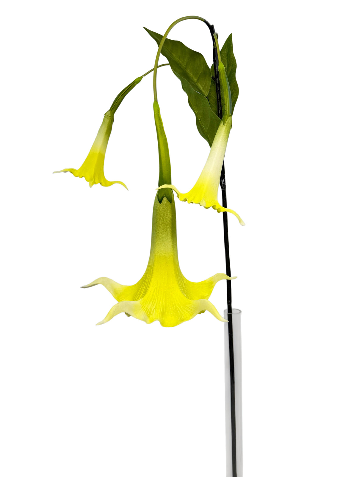FL13836 TRUMPET LILY SPRAYx3F 51"