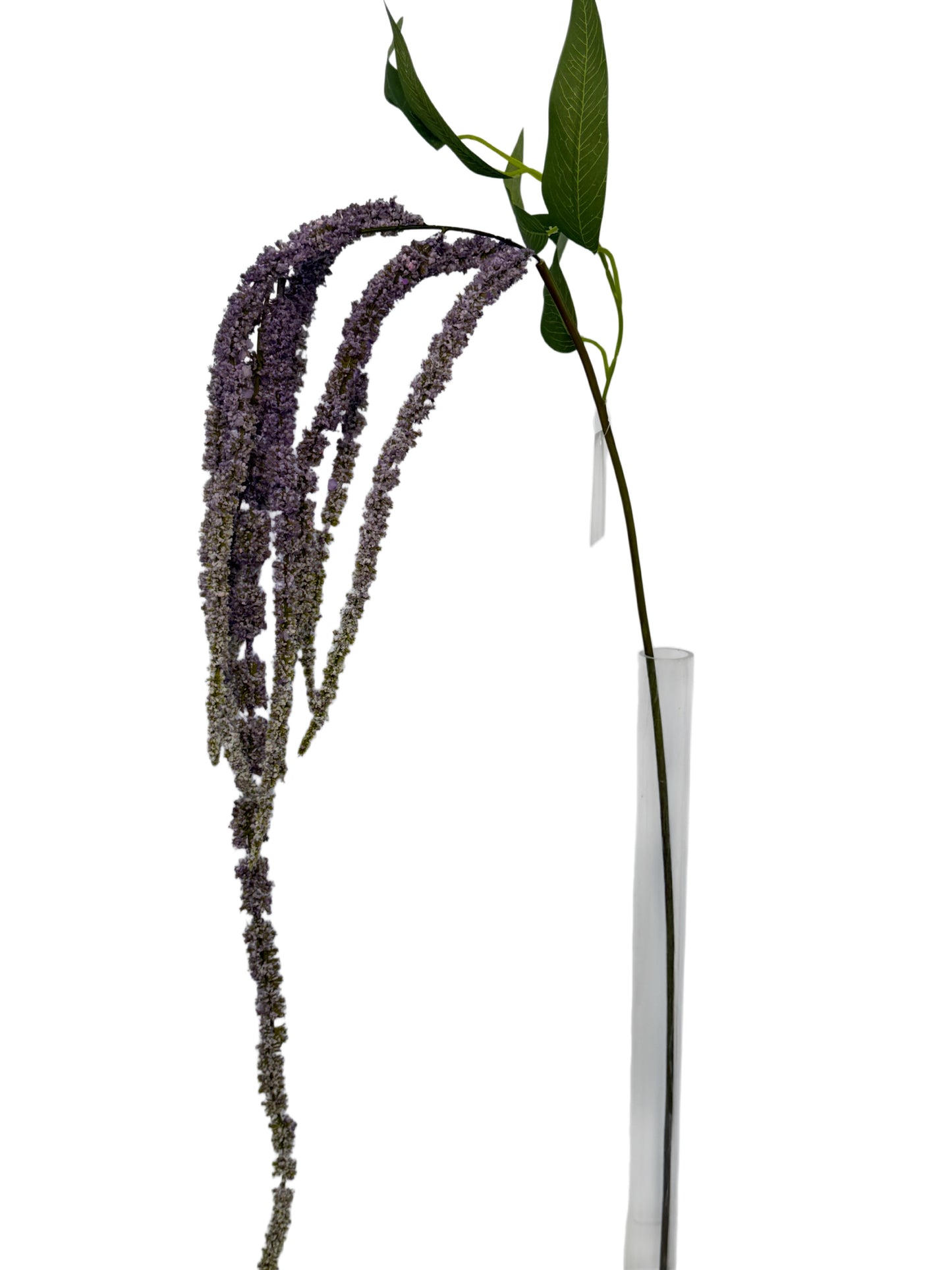 FL13837 WEEPING AMARANTH SPRAY 55"
