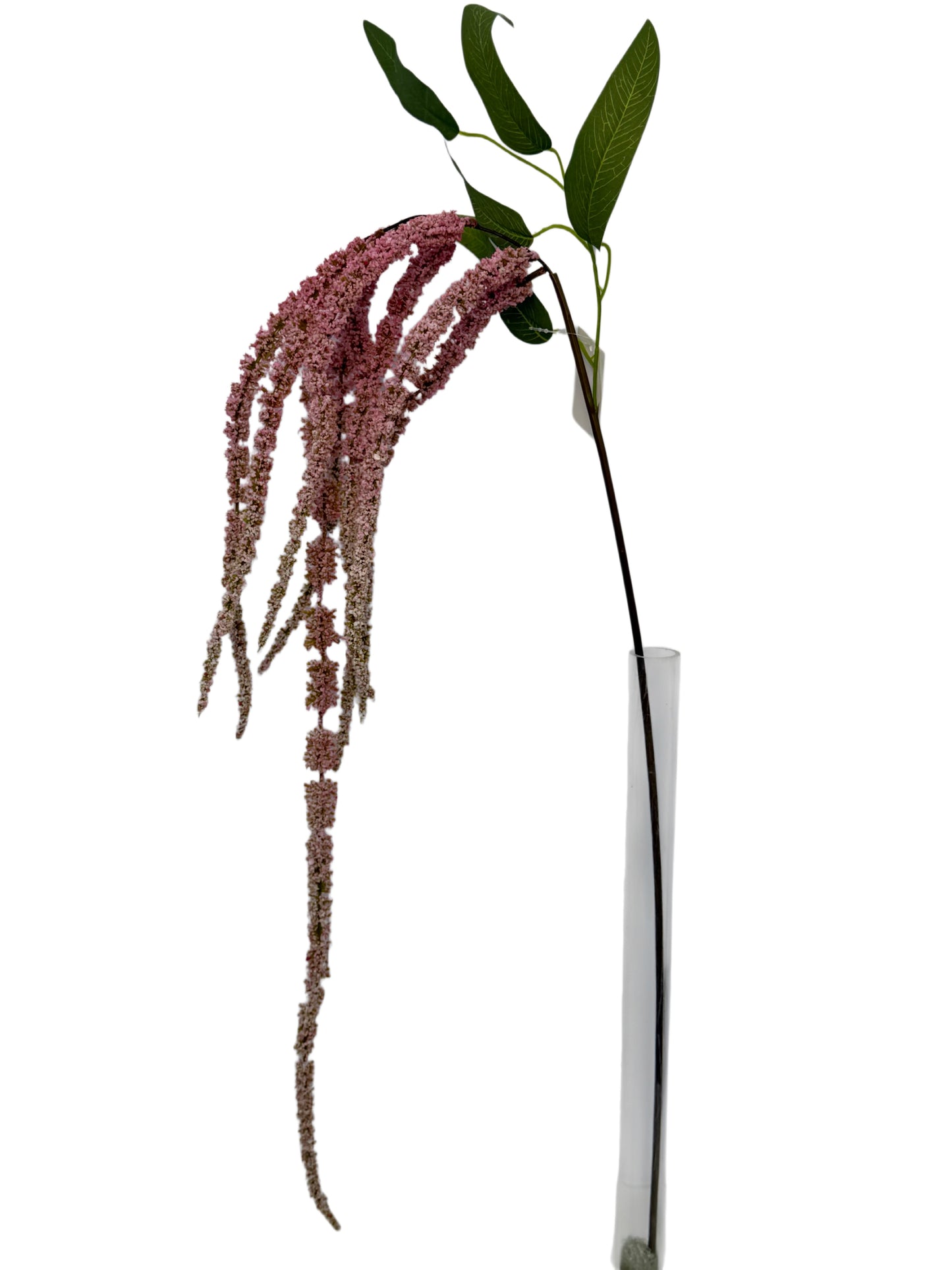 FL13837 WEEPING AMARANTH SPRAY 55"