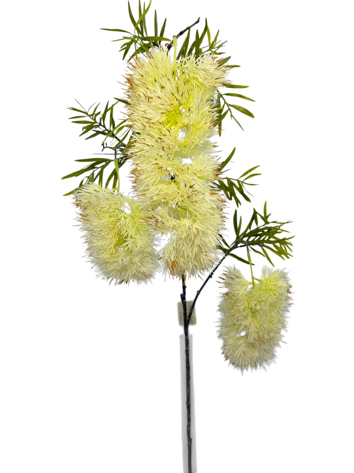 FL13838 BOTTLEBRUSH SPRAYx3F 31"