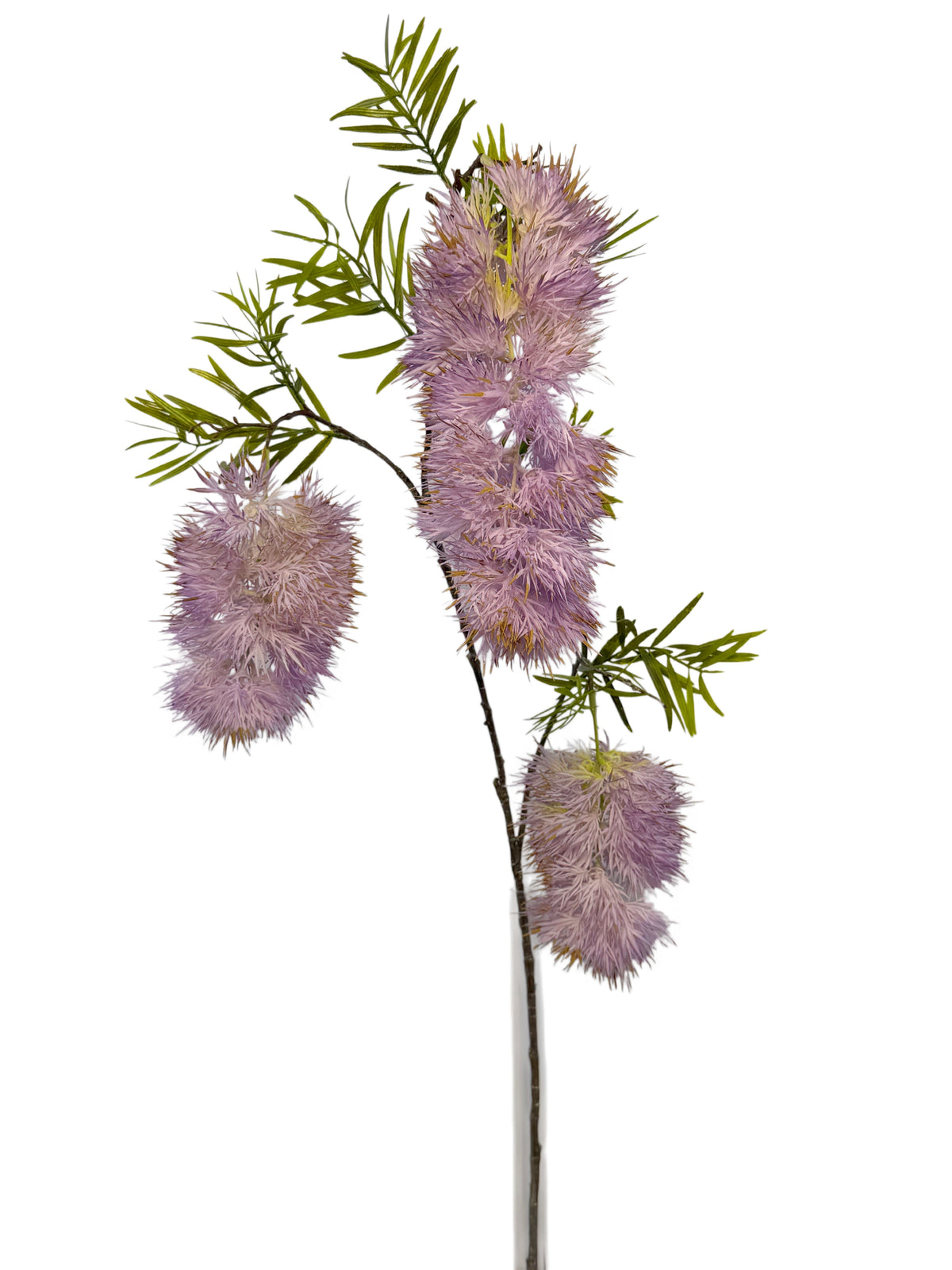 FL13838 BOTTLEBRUSH SPRAYx3F 31"