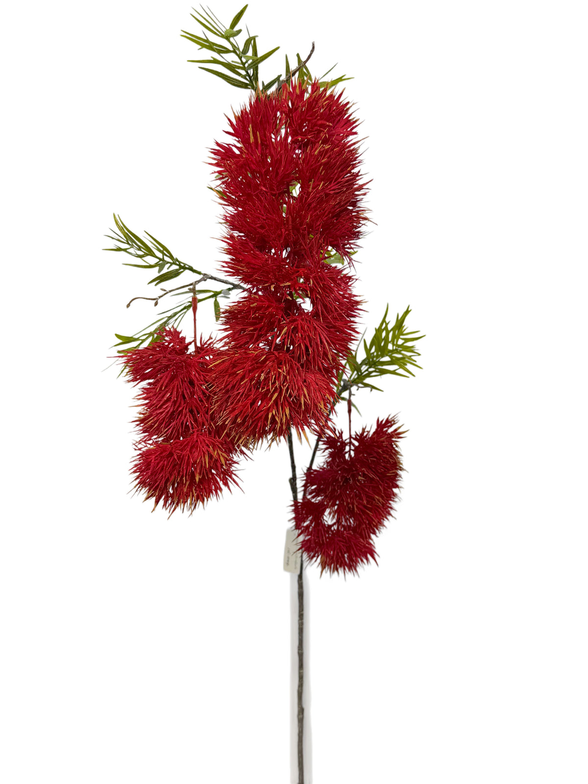 FL13838 BOTTLEBRUSH SPRAYx3F 31"