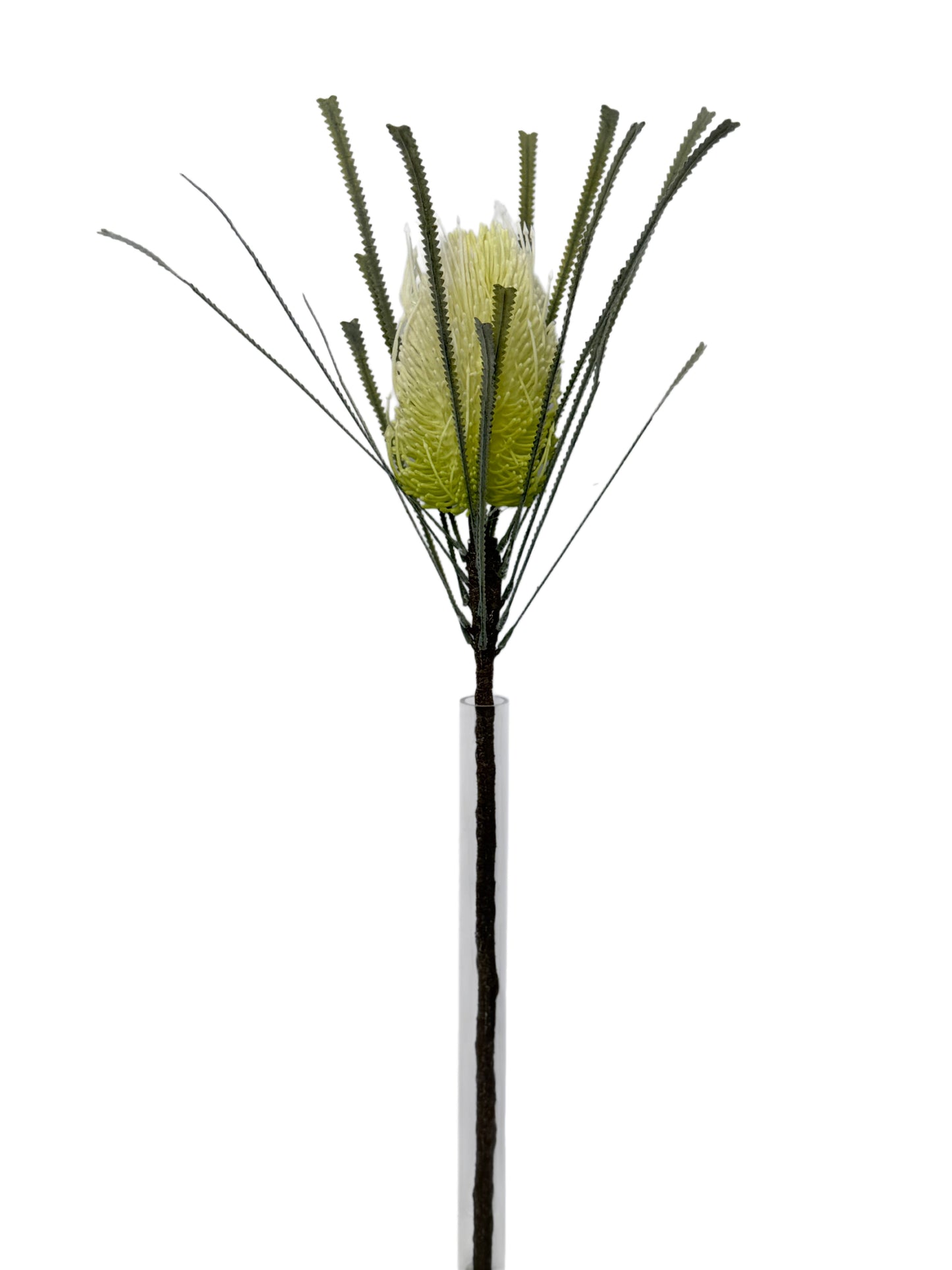 FL13839 BANKSIA SPRAY 29"