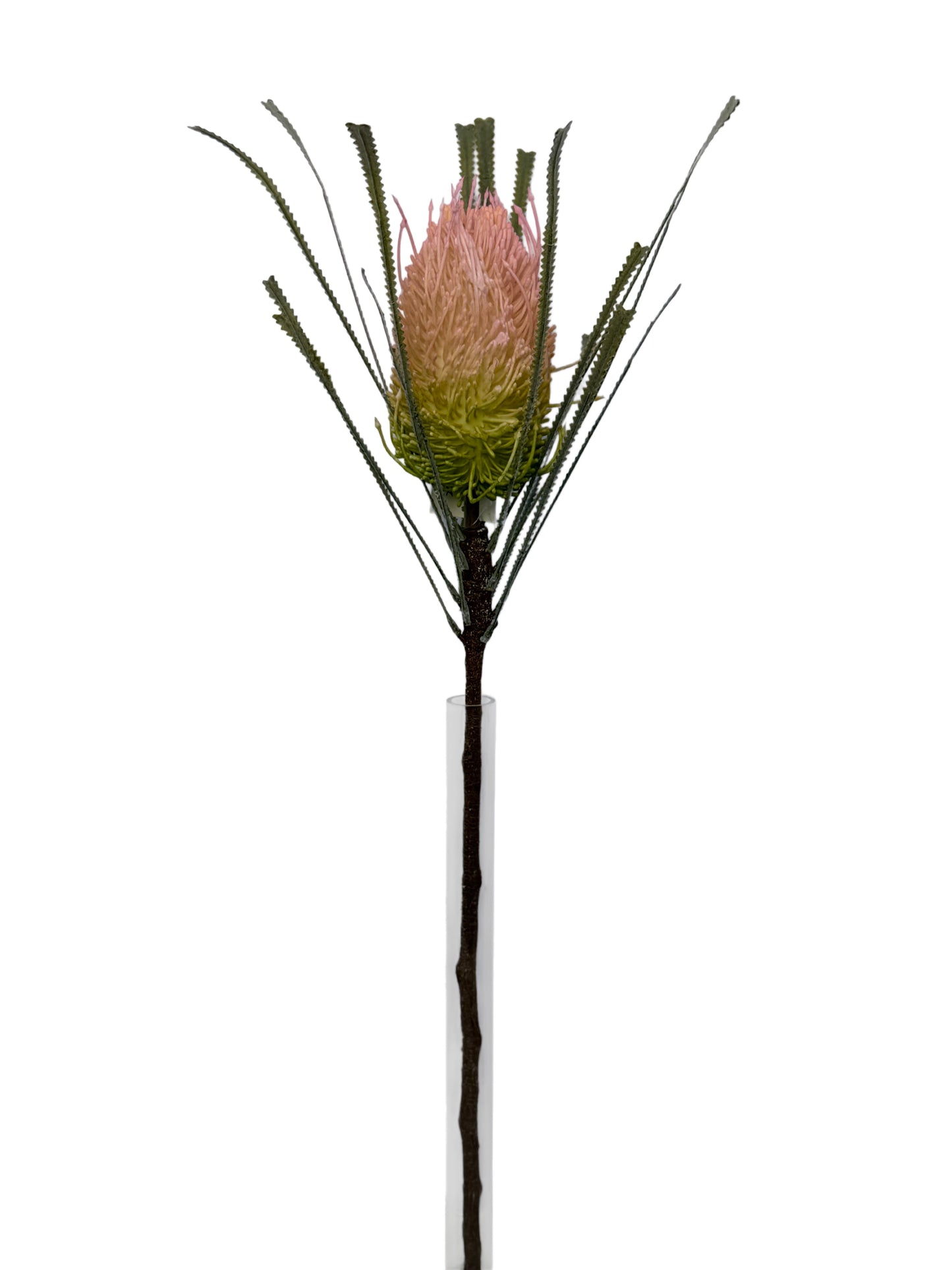 FL13839 BANKSIA SPRAY 29"