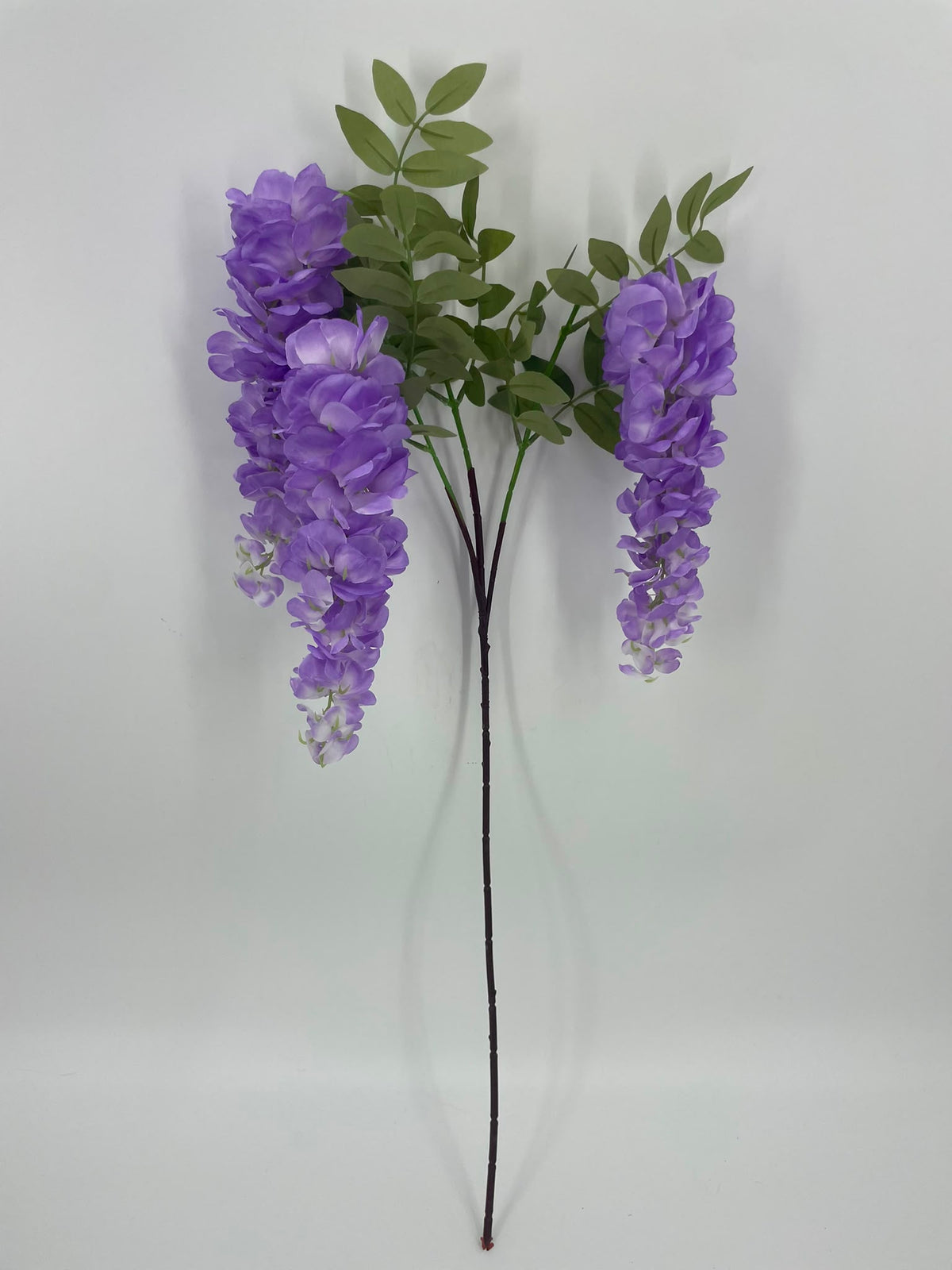 FL13841 WISTERIA SPRAYx3F  39"