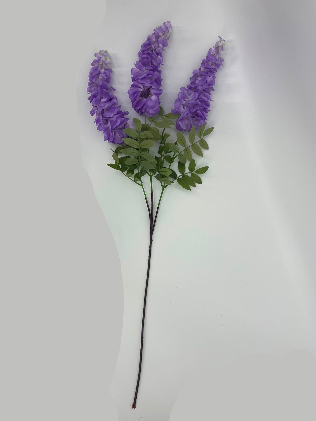 FL13841 WISTERIA SPRAYx3F  39"