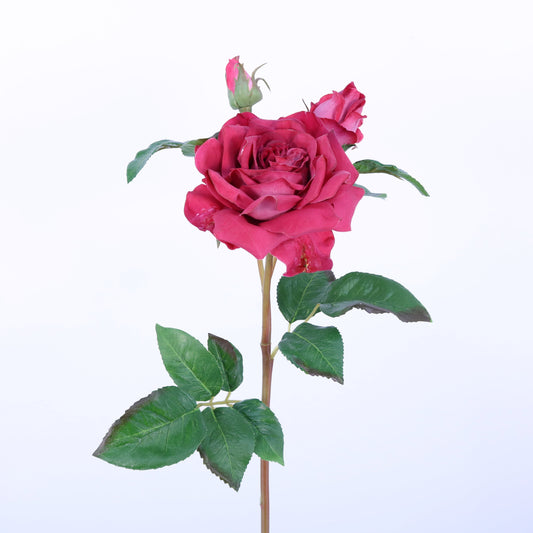 FN10012 ROSE SPRAYx1F2B,22in-12P/96/5.83'