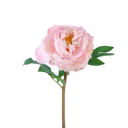 FN20002 PEONY (NAT),23in-12P/72/5.84'