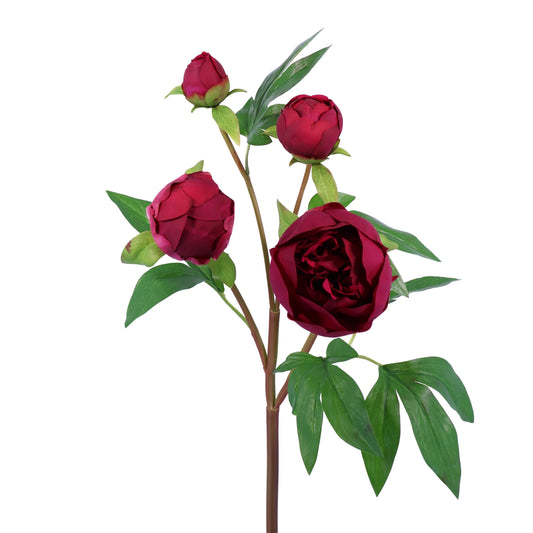 FN20003 PEONY BUD SPRAYx4(NAT),25in-12P/96