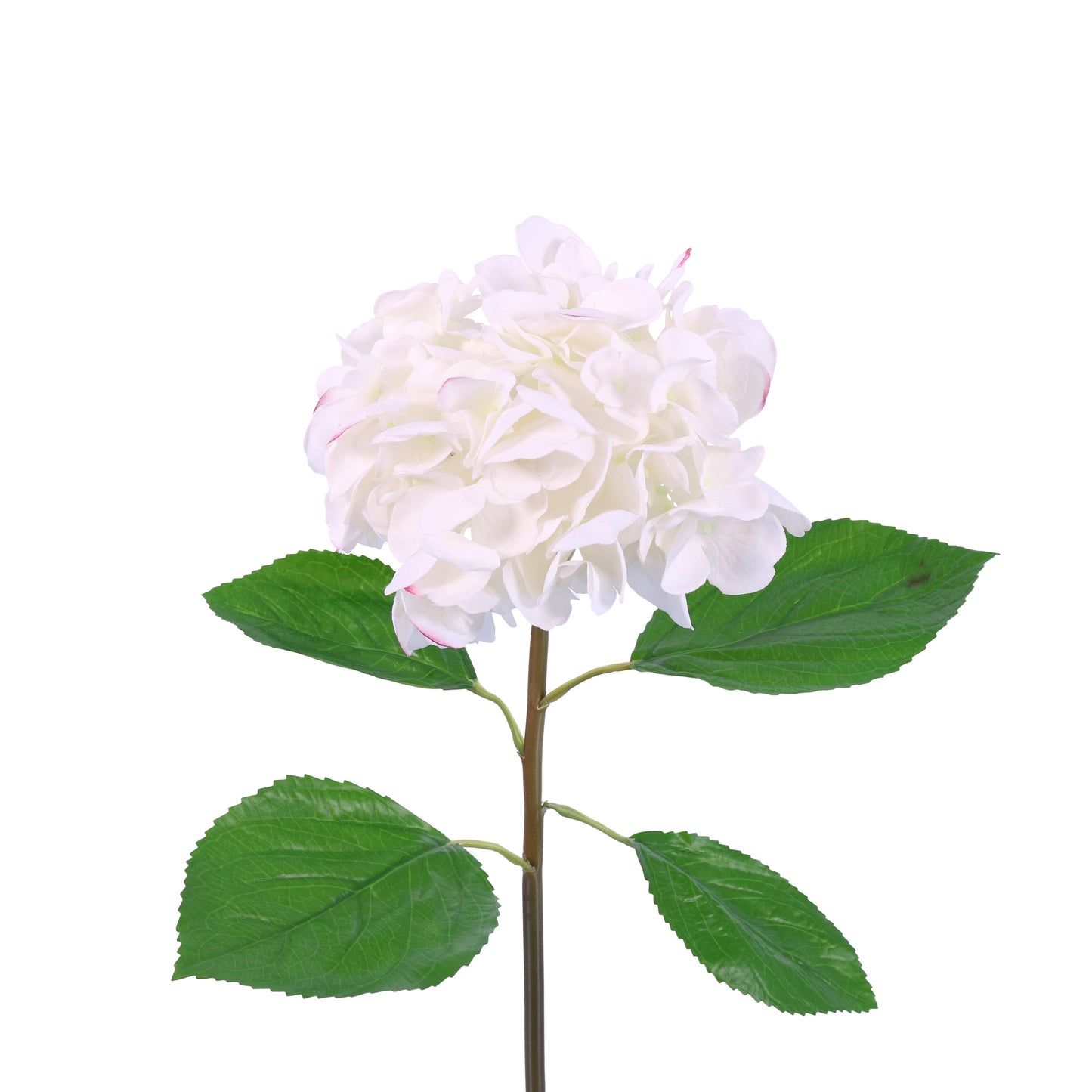 FN20004 HYDRANGEA SPRAYx4L(NAT),25in-12P