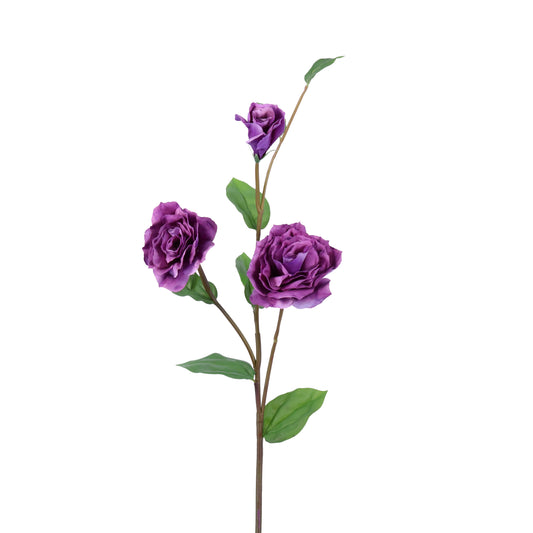 FN20005 DOUBLE LISIANTHUS SPx3F(NAT),31in