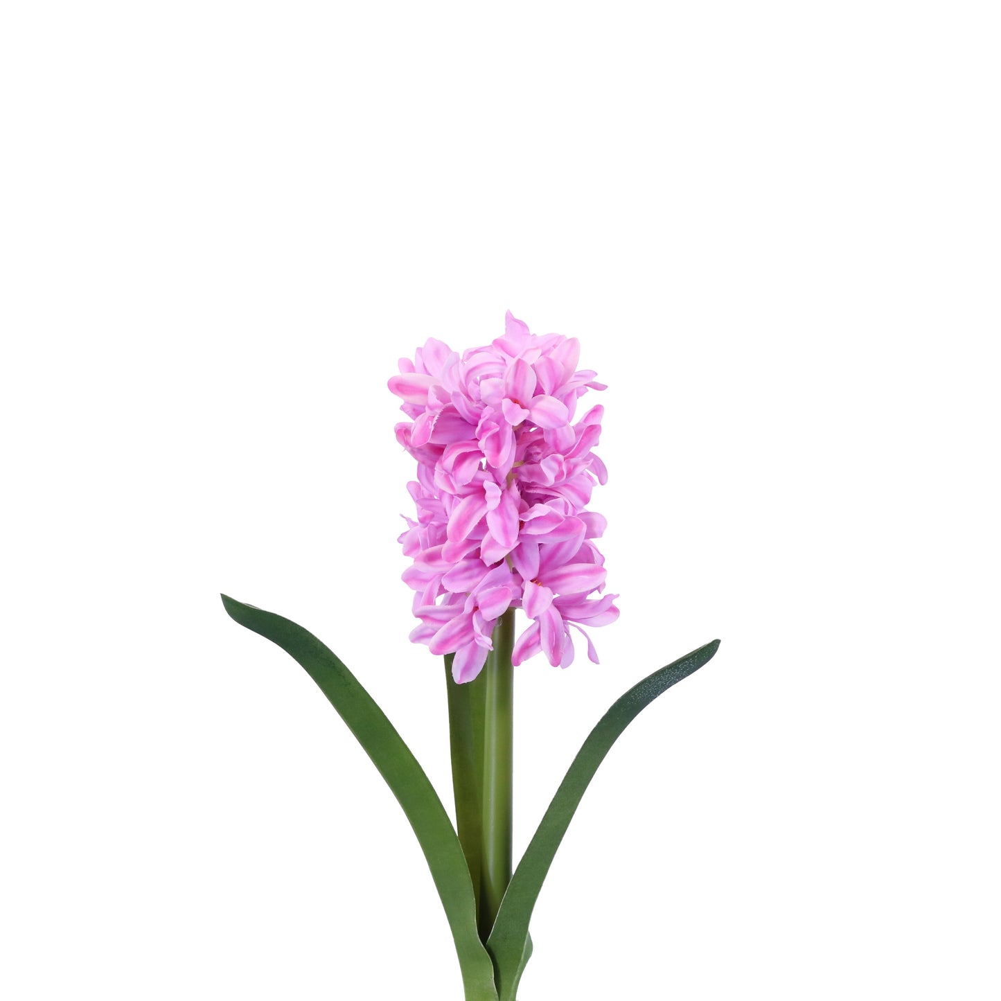 FN20006 HYACINTH w/LVS(NAT),13in-12P/120