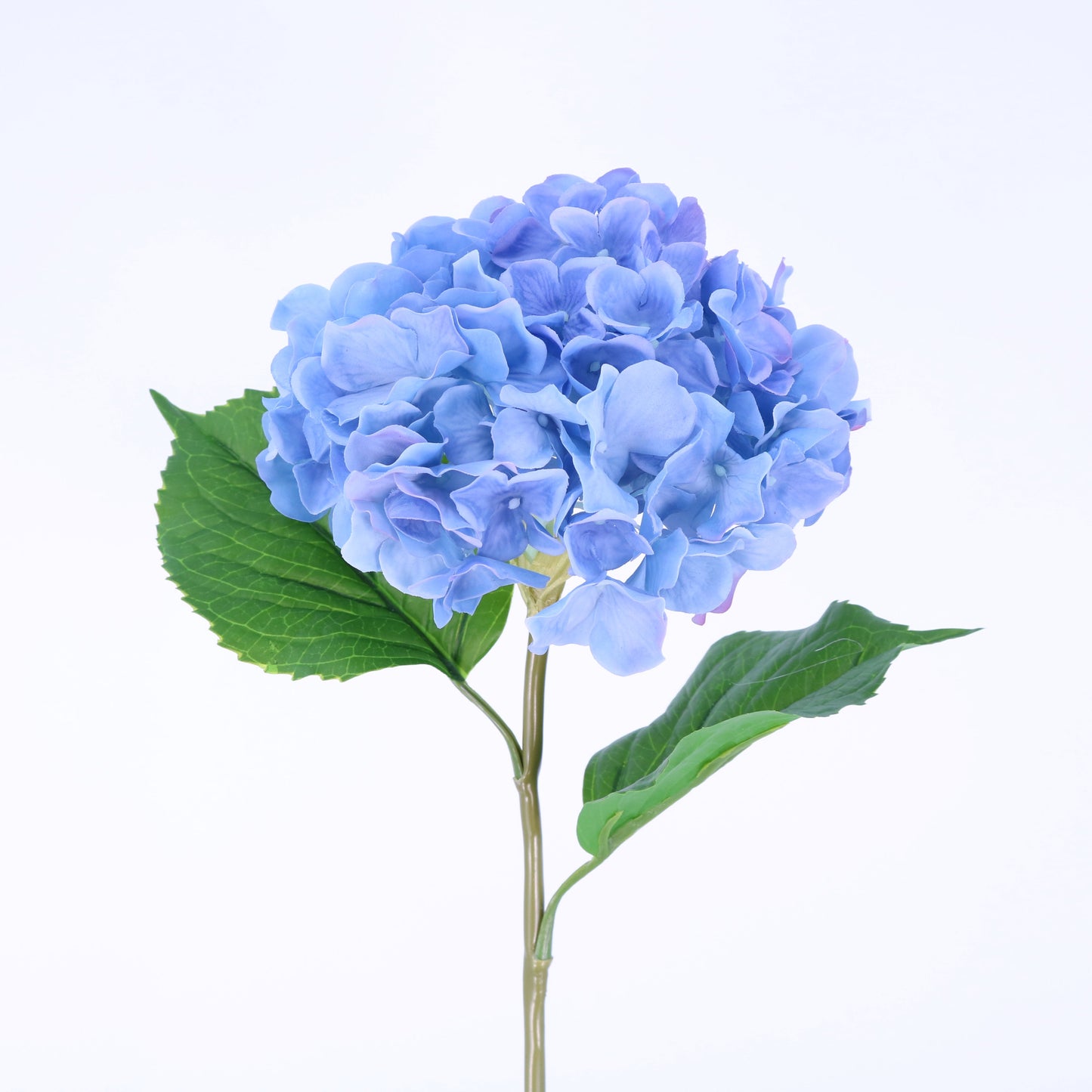 FN20024 HYDRANGEA(NAT), 22"