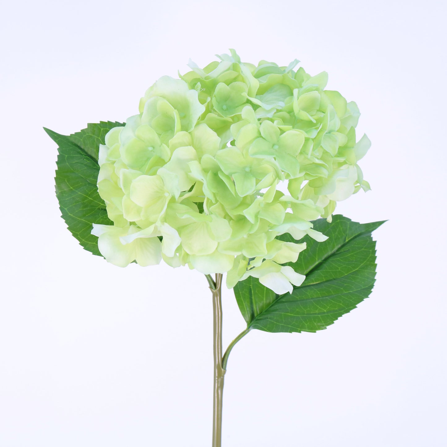 FN20024 HYDRANGEA(NAT), 22"