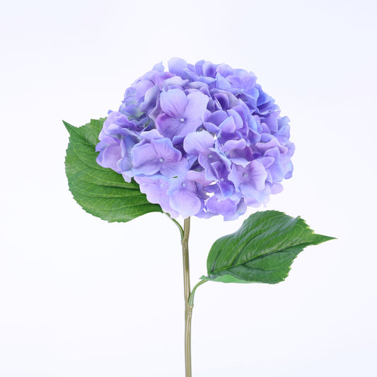 FN20024 HYDRANGEA(NAT), 22"