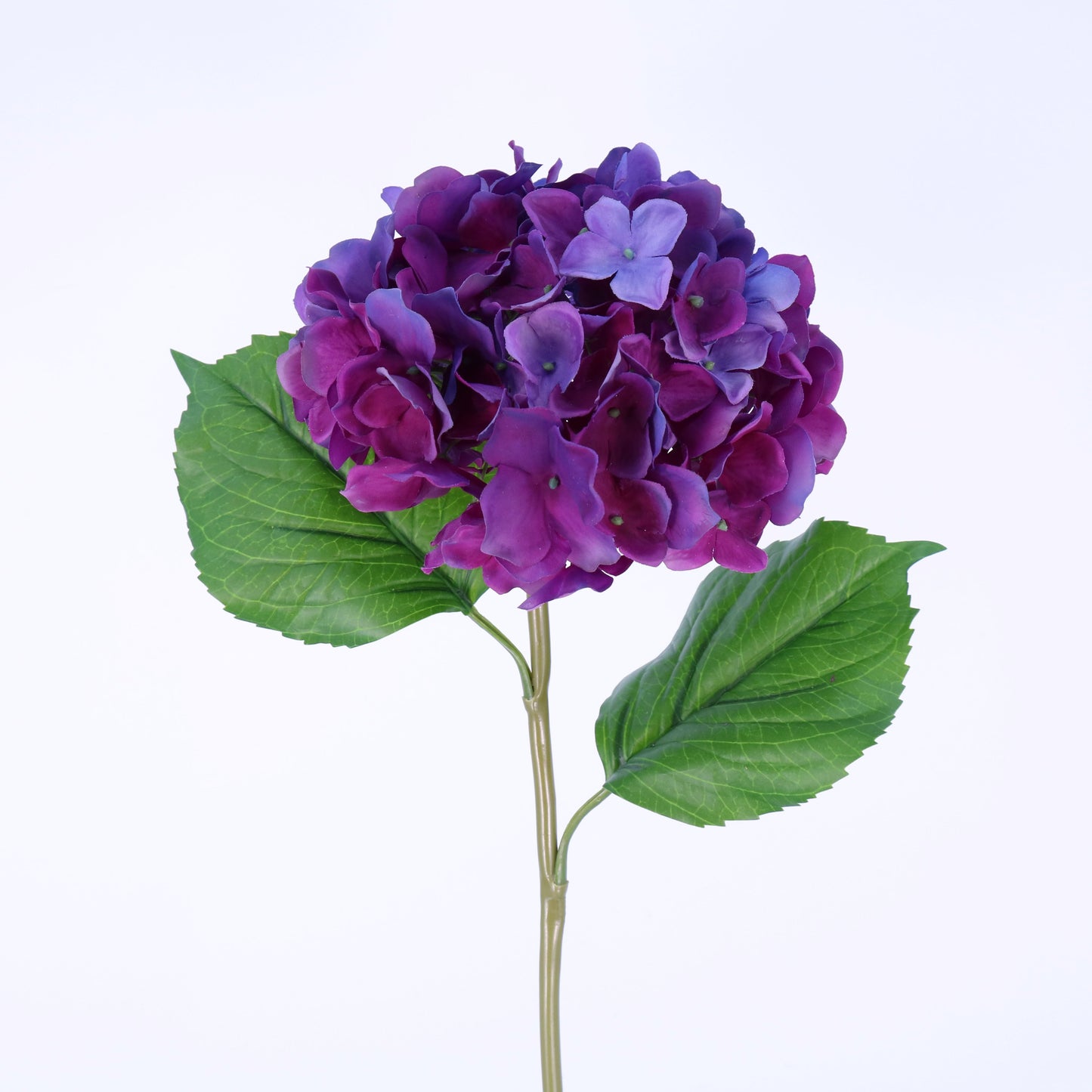 FN20024 HYDRANGEA(NAT), 22"