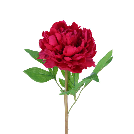 FN20025 PEONY(NAT), 24"