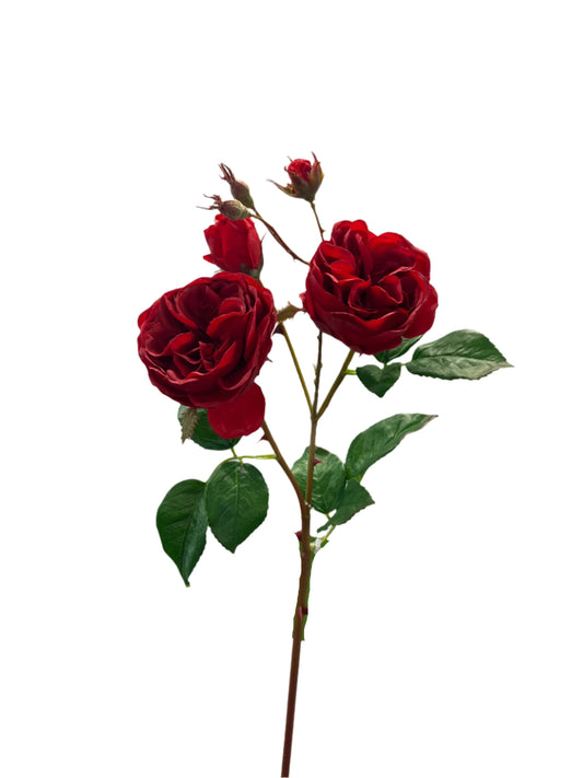 FN20051  CABBAGE ROSE SPRAYx2F4B (NAT) 23.5"