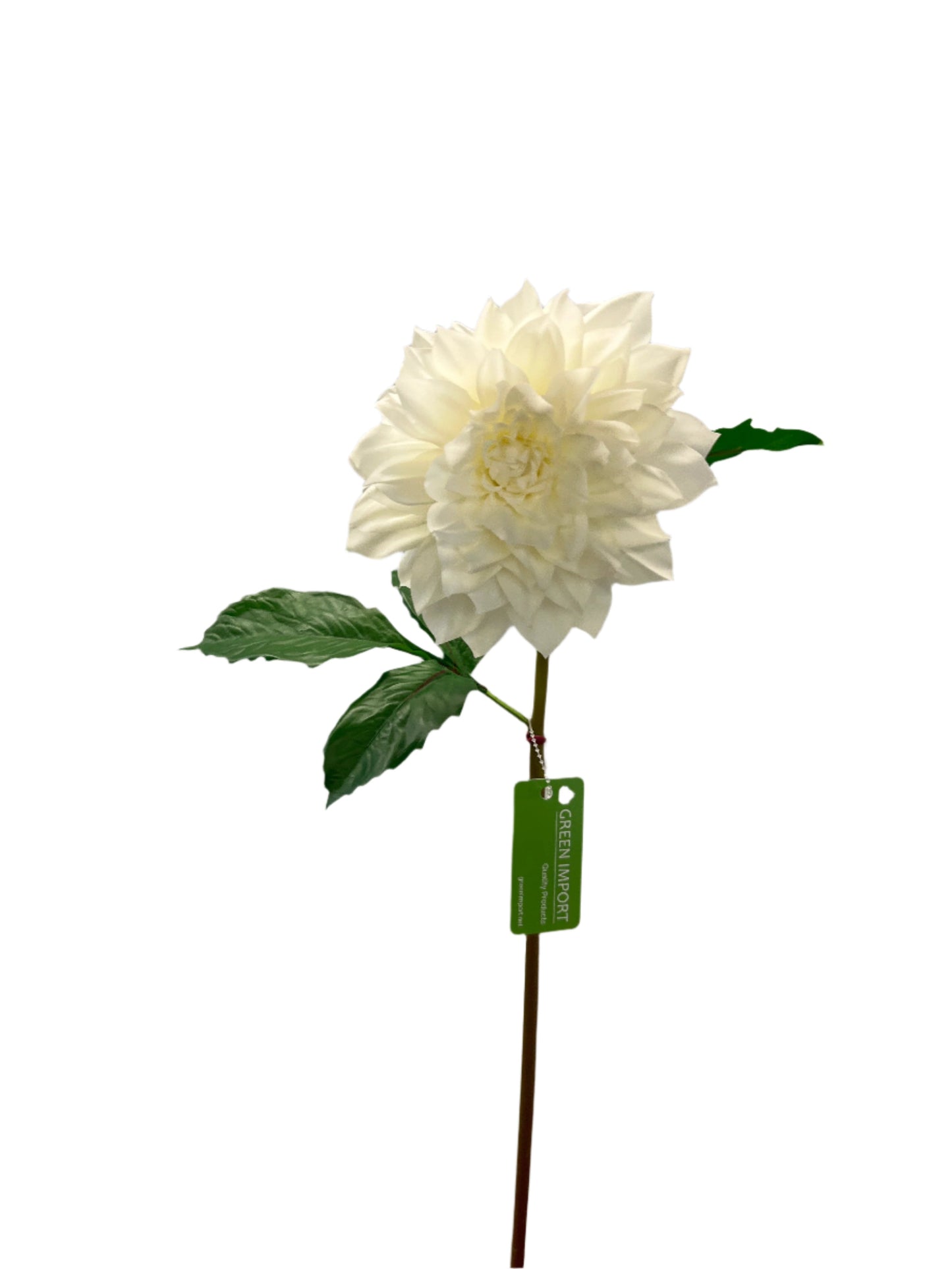 FN20052  DAHLIA SPRAYx1F1B (NAT) 25"