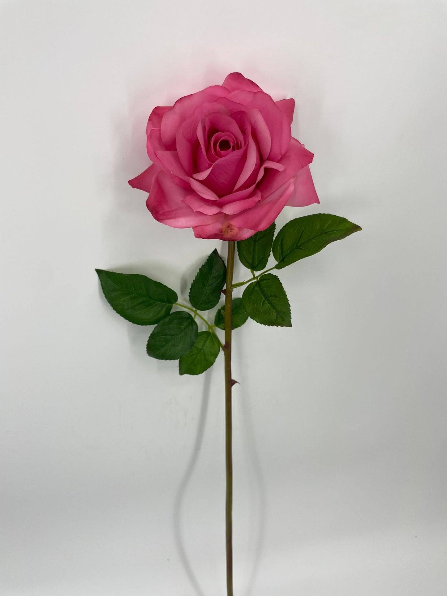 FN20071 ROSE (NAT)  30"