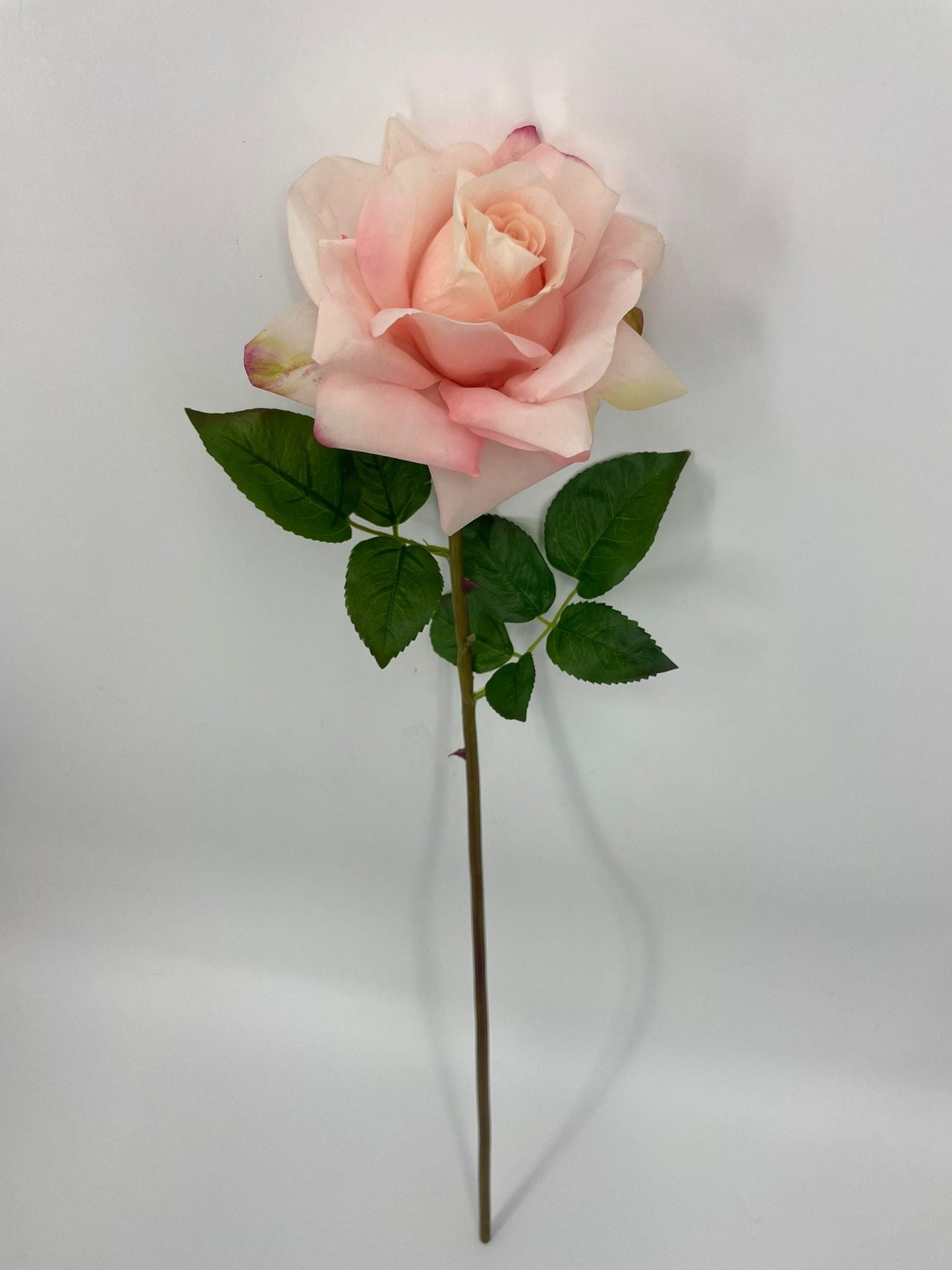 FN20071 ROSE (NAT)  30"