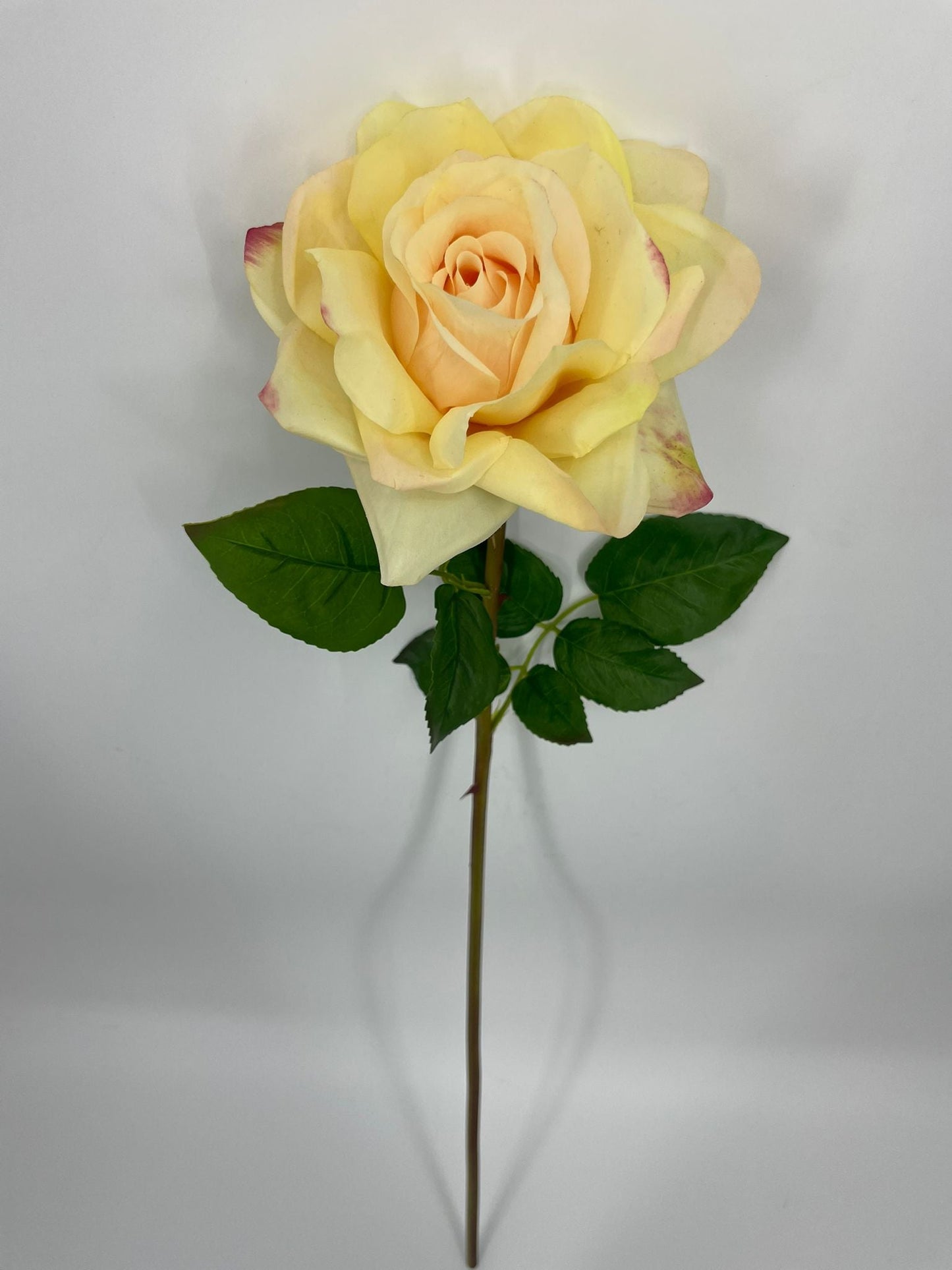 FN20071 ROSE (NAT)  30"