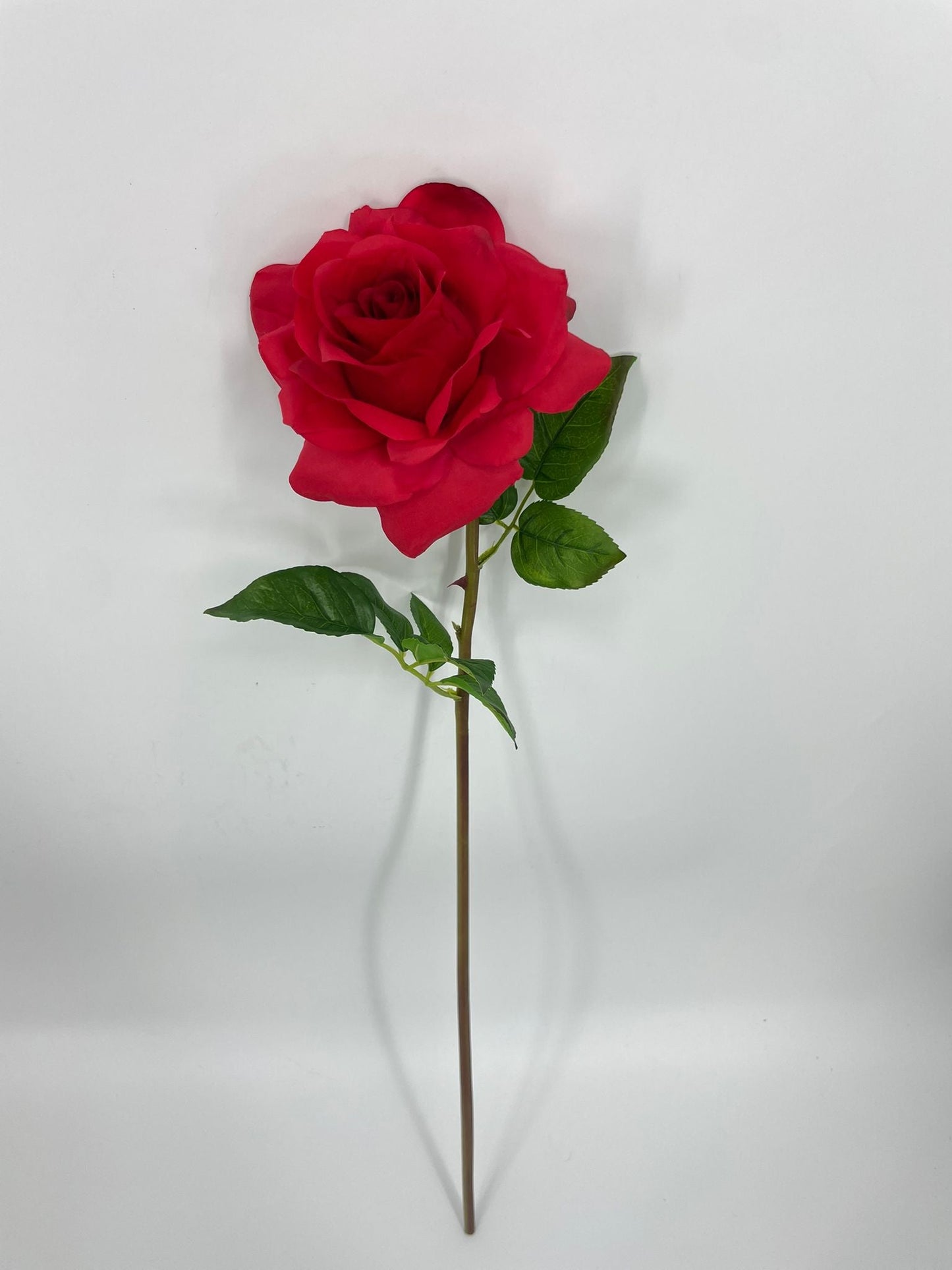 FN20071 ROSE (NAT)  30"