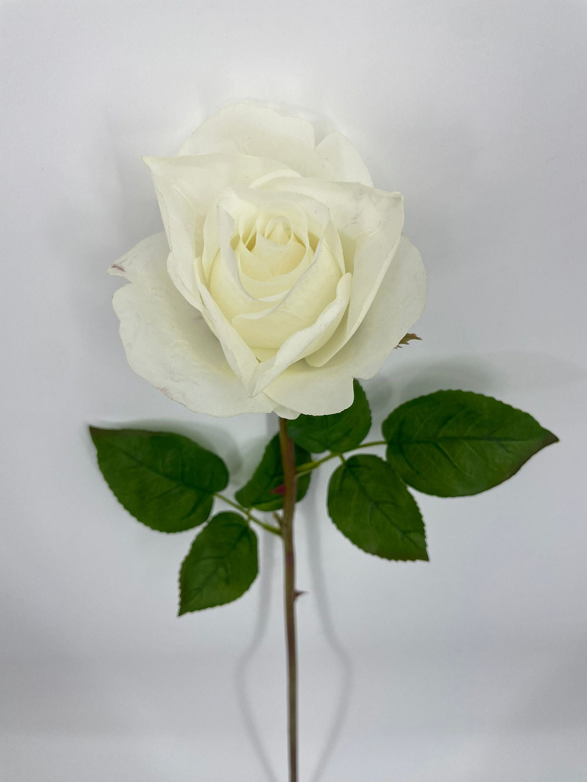 FN20072 ROSE BUD (NAT)  30"