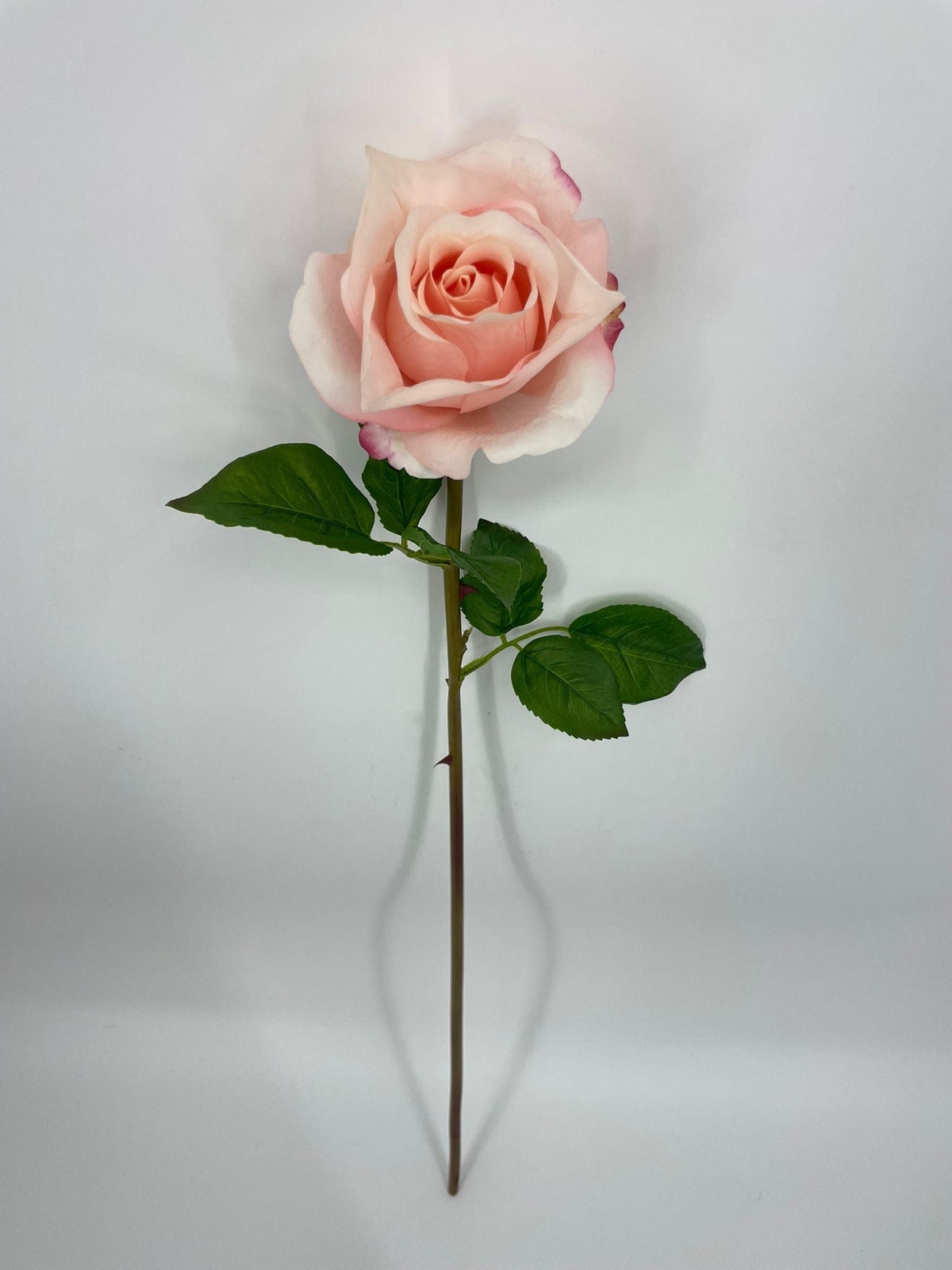 FN20072 ROSE BUD (NAT)  30"