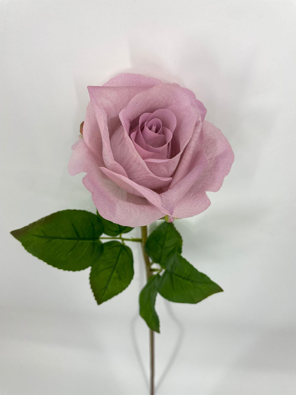 FN20072 ROSE BUD (NAT)  30"