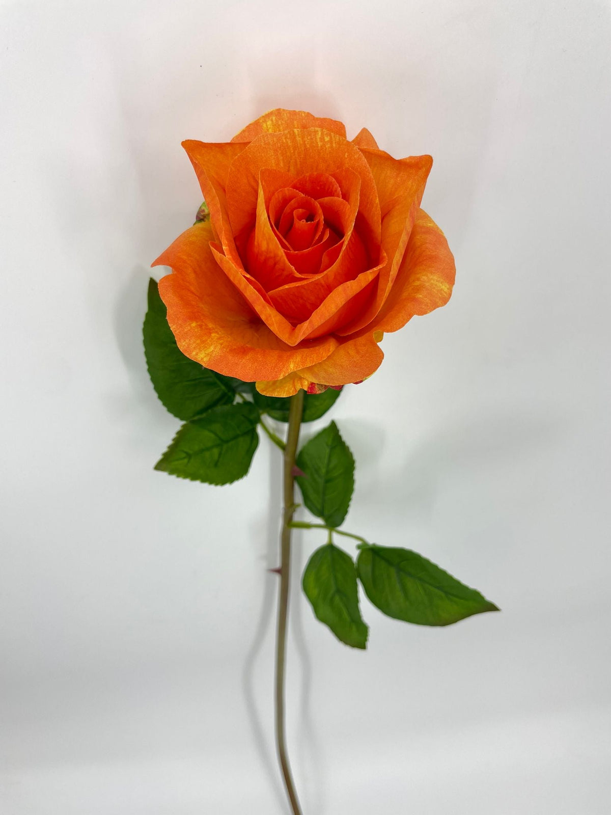 FN20072 ROSE BUD (NAT)  30"