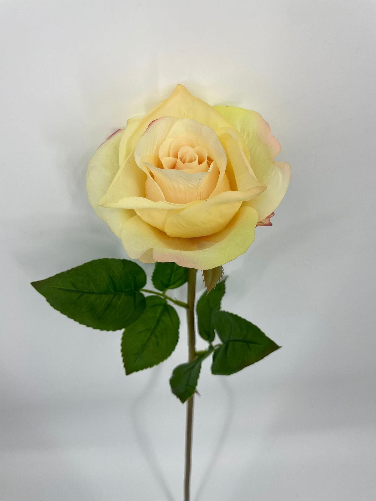 FN20072 ROSE BUD (NAT)  30"