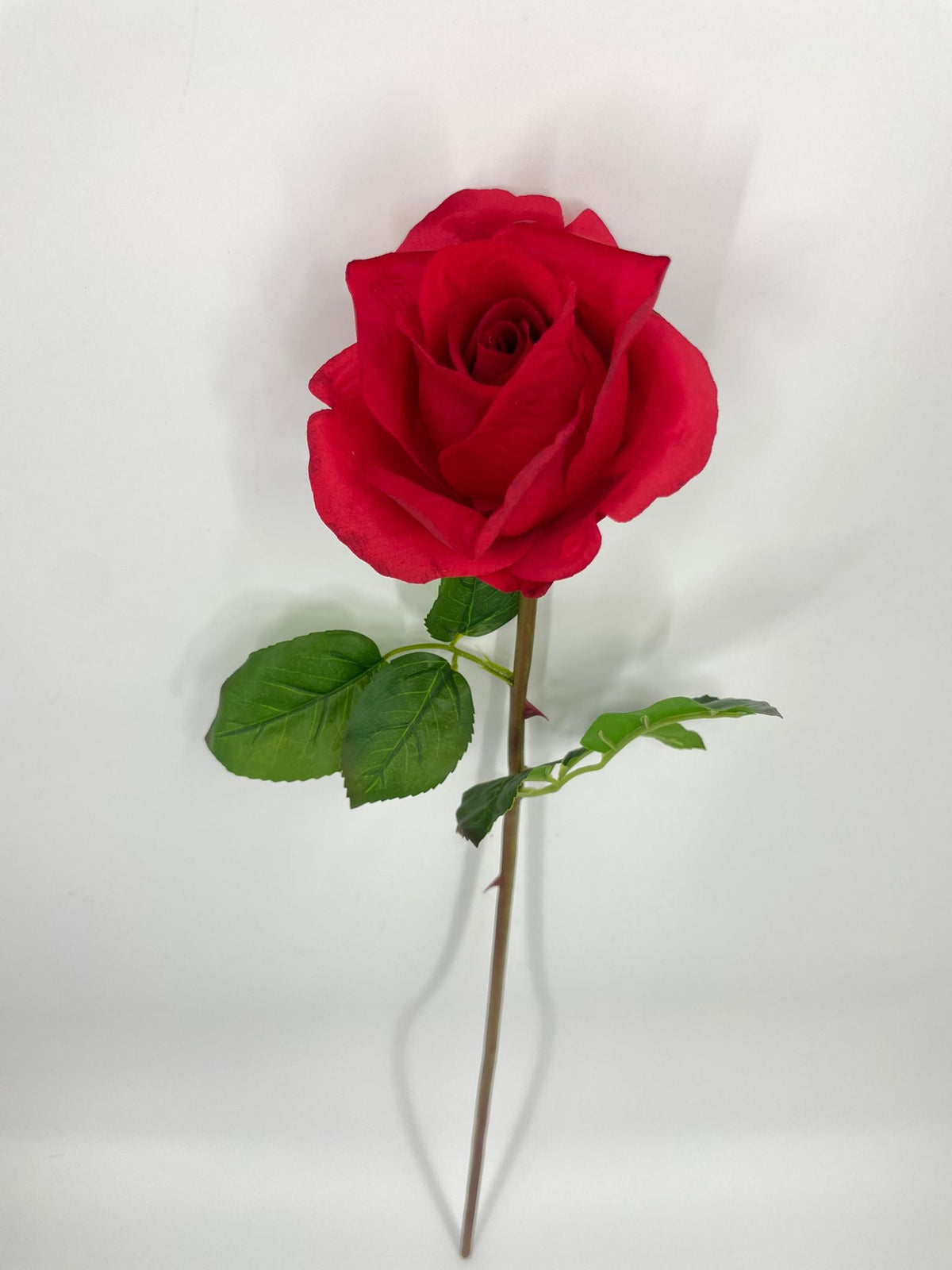 FN20072 ROSE BUD (NAT)  30"