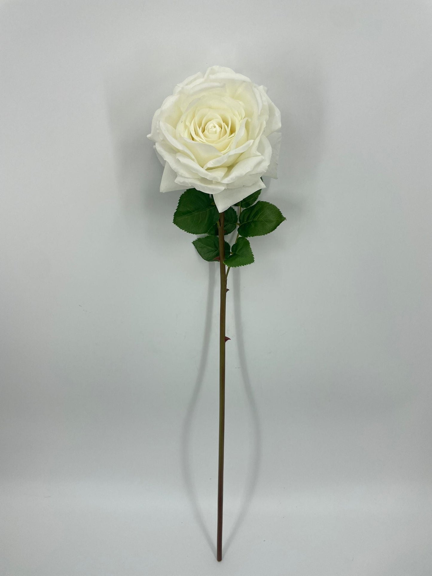 FN20073 OPEN ROSE (NAT)  29"