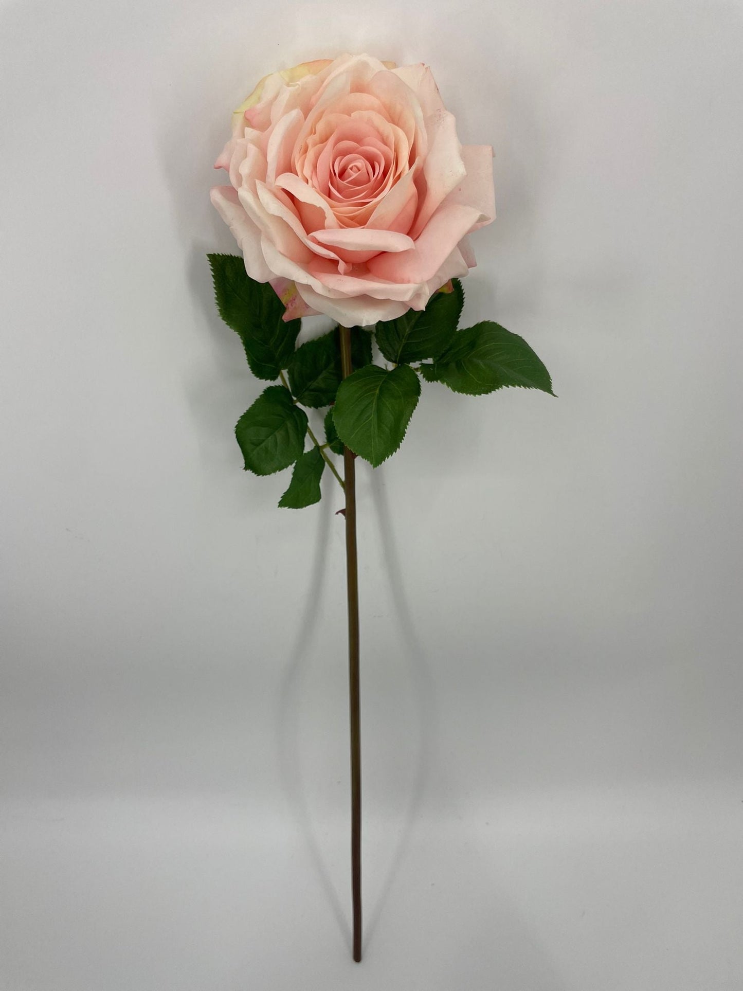 FN20073 OPEN ROSE (NAT)  29"