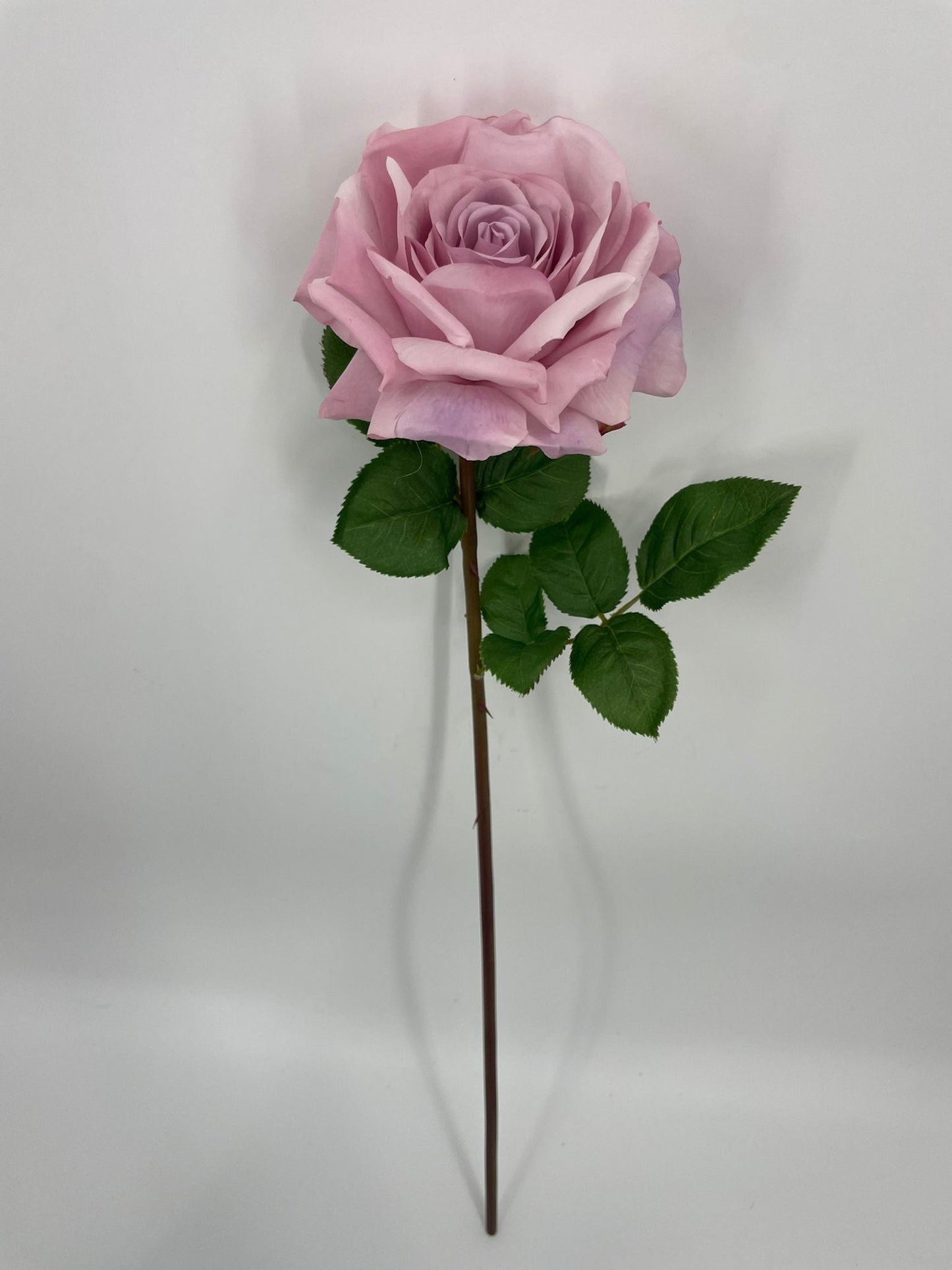 FN20073 OPEN ROSE (NAT)  29"
