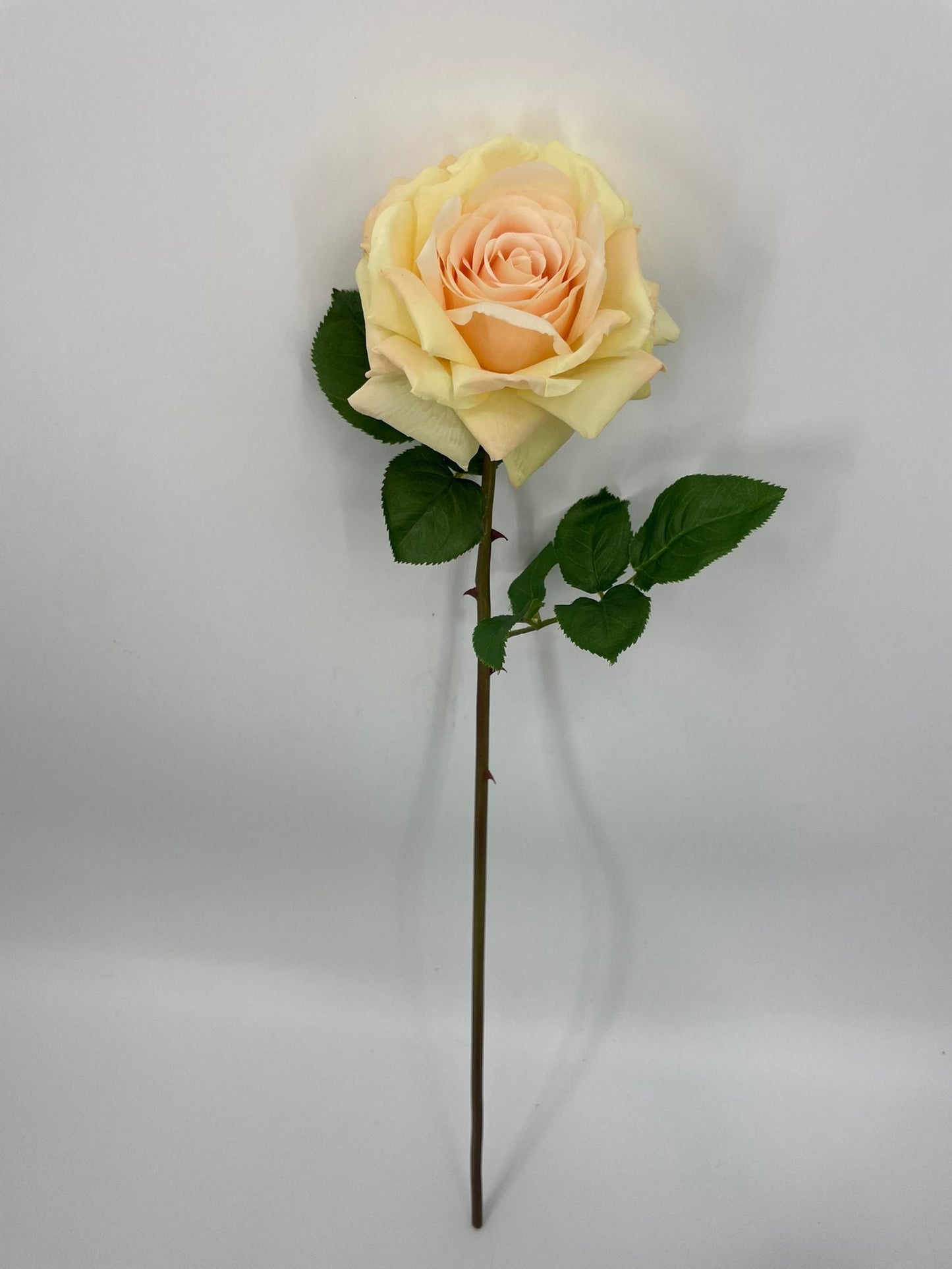 FN20073 OPEN ROSE (NAT)  29"