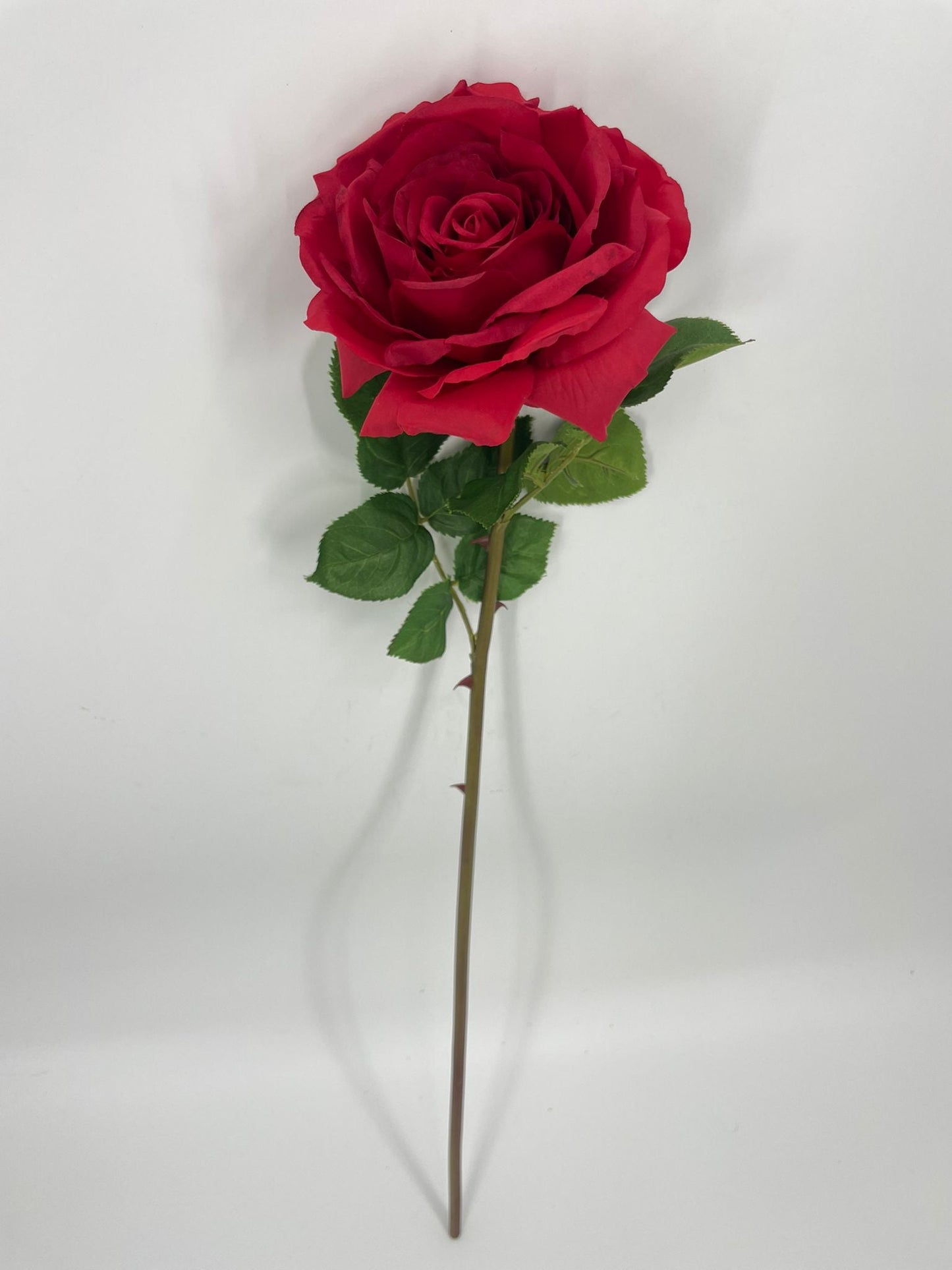 FN20073 OPEN ROSE (NAT)  29"