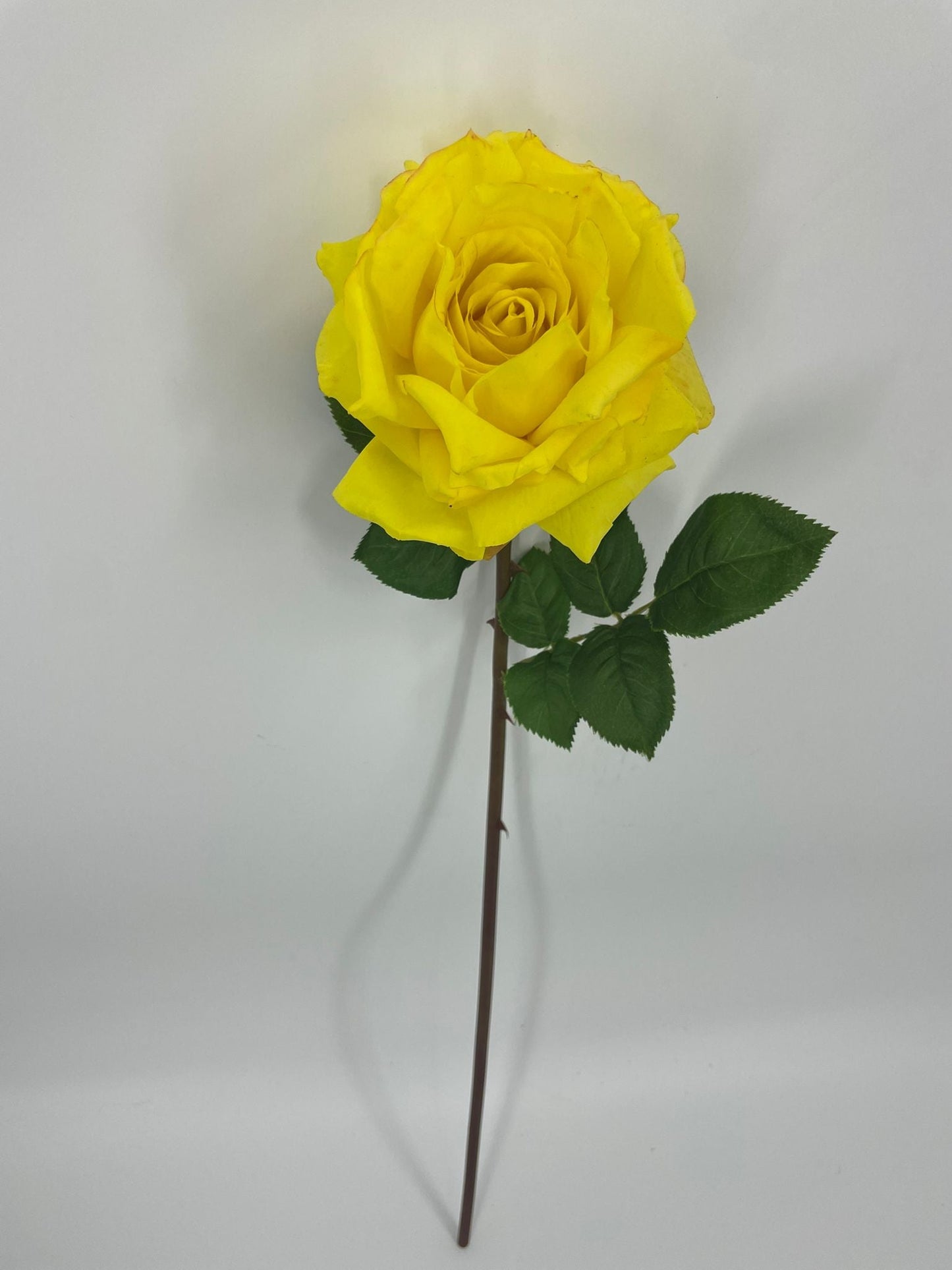 FN20073 OPEN ROSE (NAT)  29"