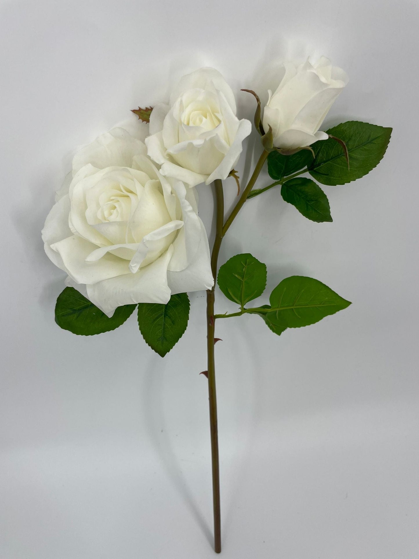FN20074 ROSE SPRAYx1F2B (NAT)  22"