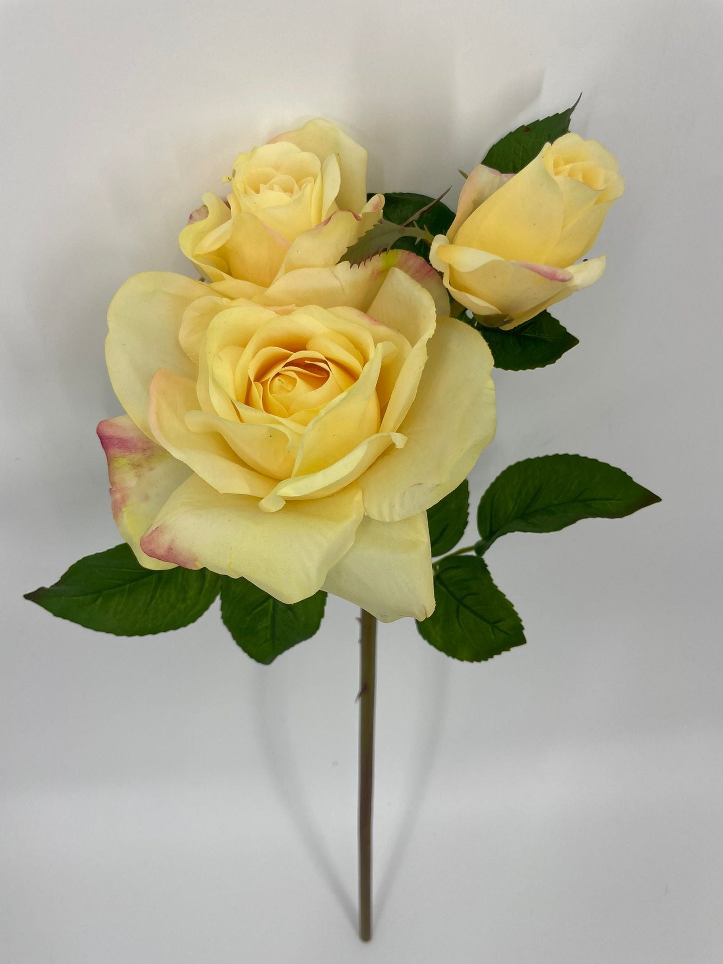 FN20074 ROSE SPRAYx1F2B (NAT)  22"