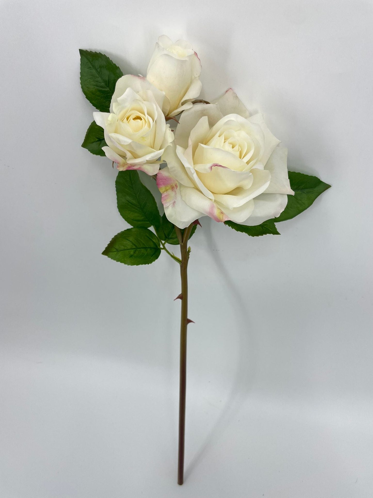 FN20074 ROSE SPRAYx1F2B (NAT)  22"
