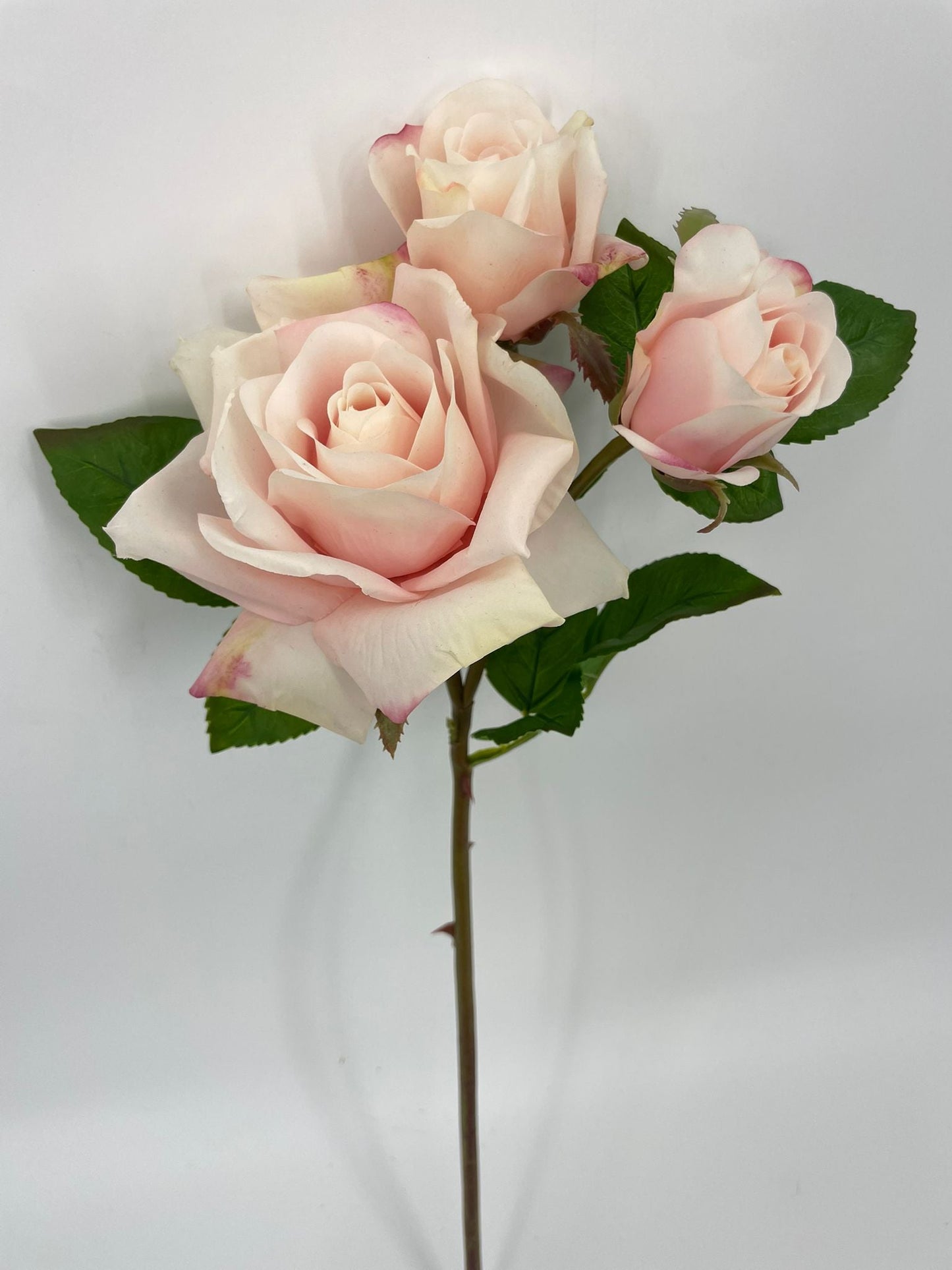 FN20074 ROSE SPRAYx1F2B (NAT)  22"