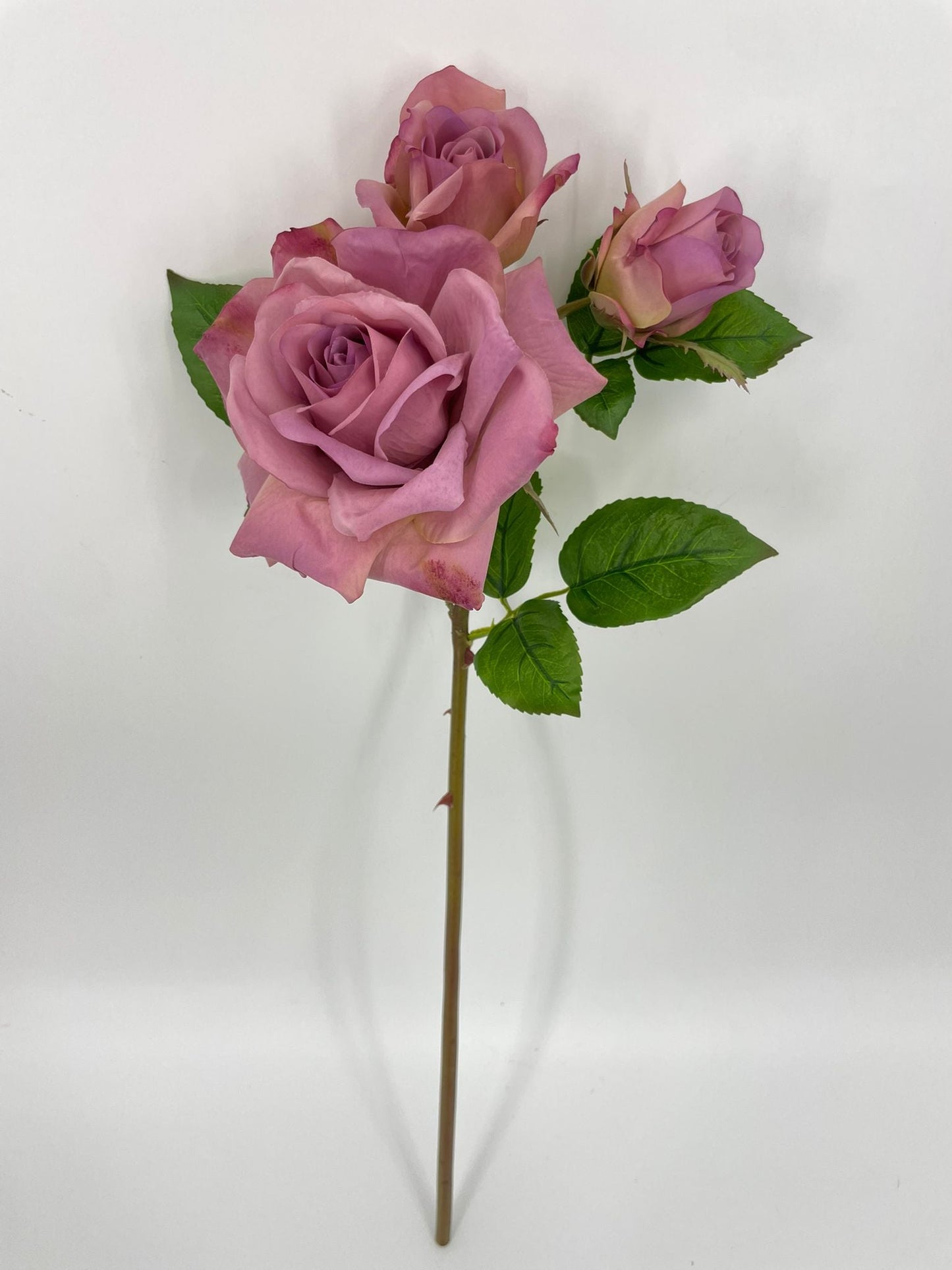 FN20074 ROSE SPRAYx1F2B (NAT)  22"