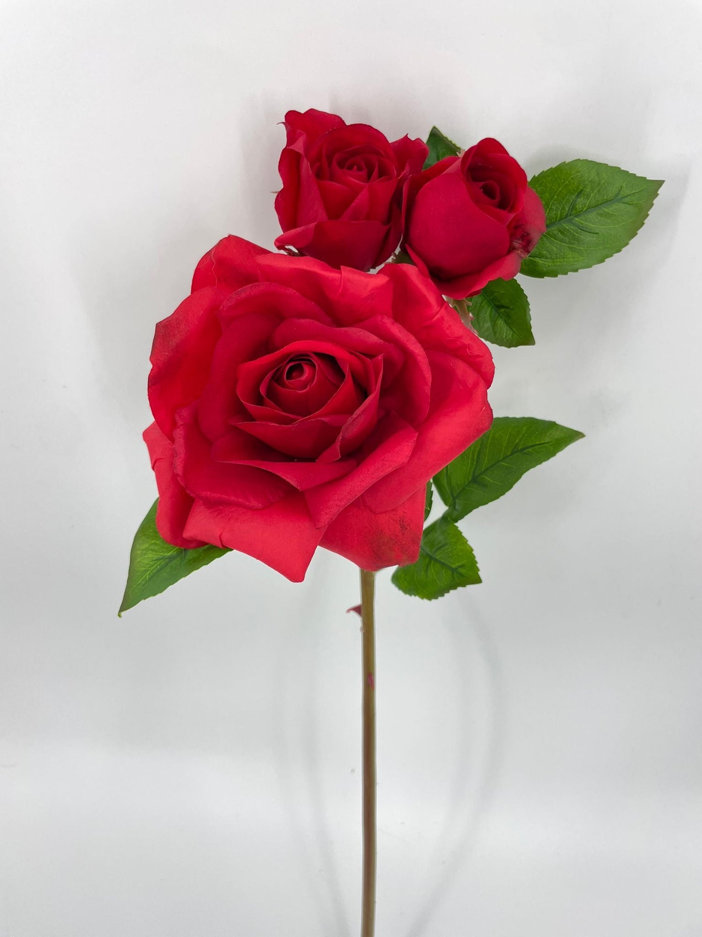 FN20074 ROSE SPRAYx1F2B (NAT)  22"