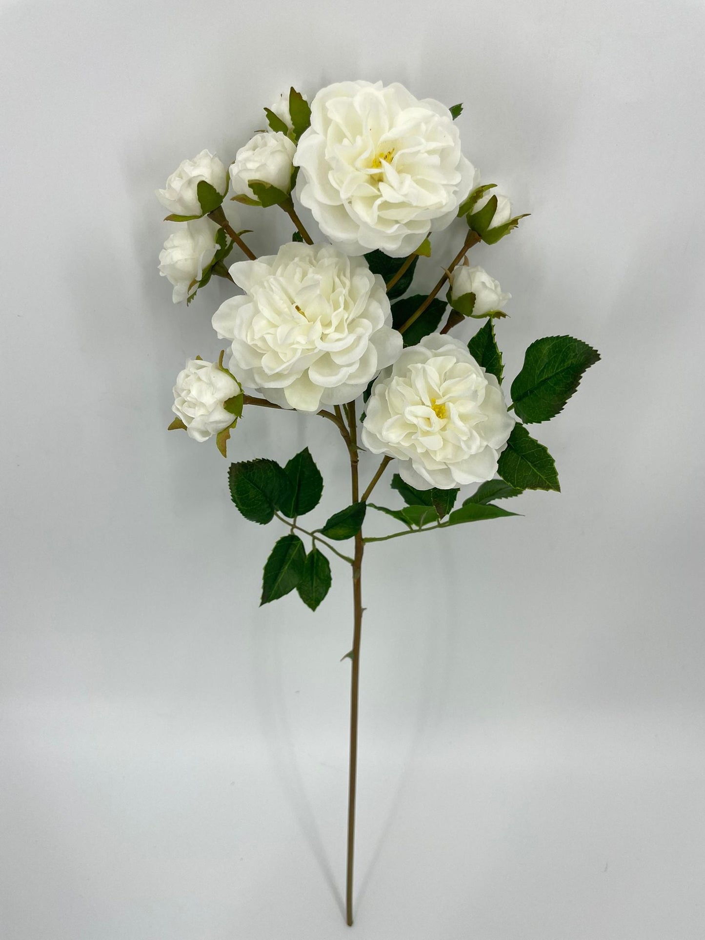 FN20075 SPRAY ROSE (NAT)  21"