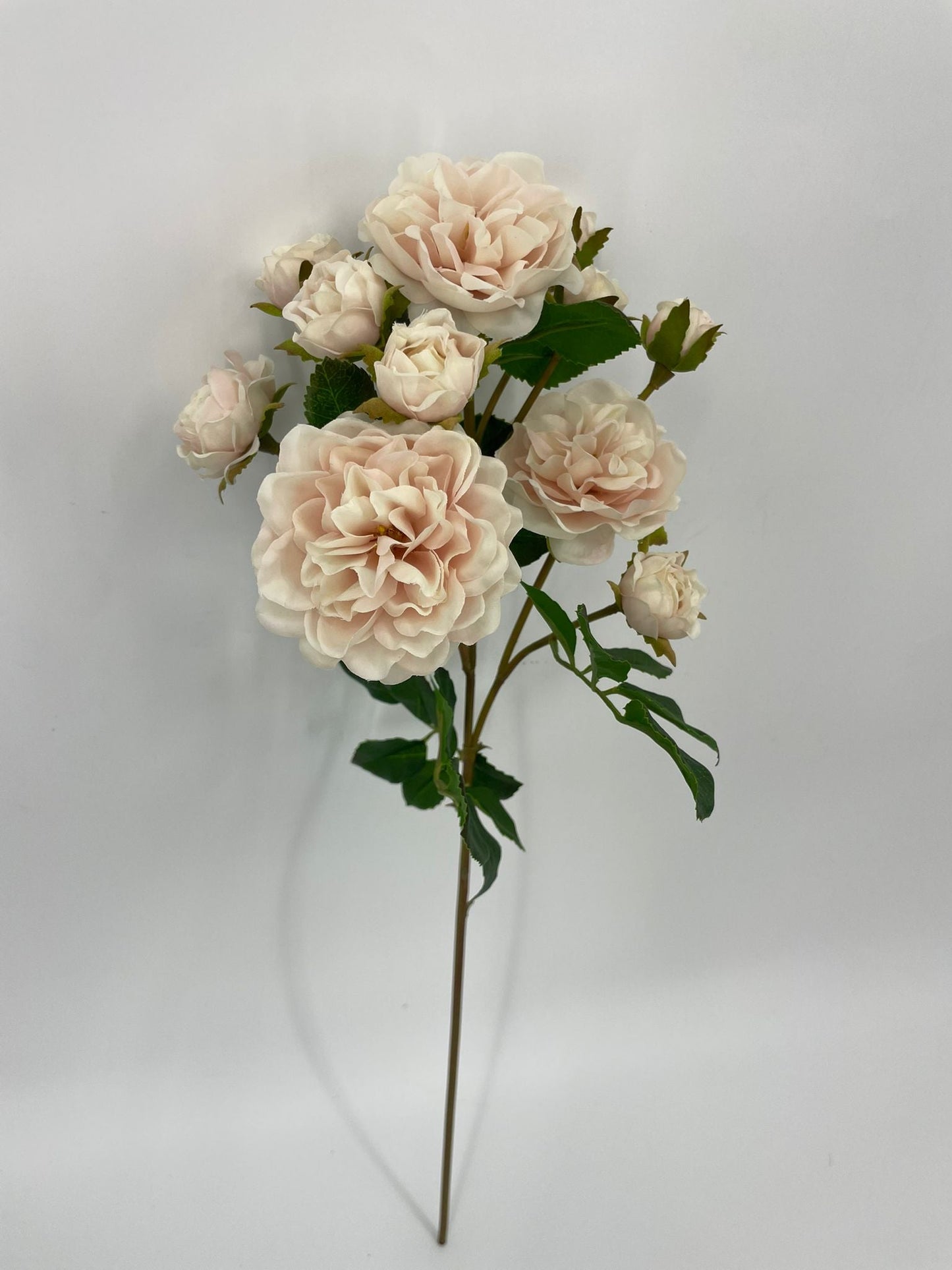 FN20075 SPRAY ROSE (NAT)  21"