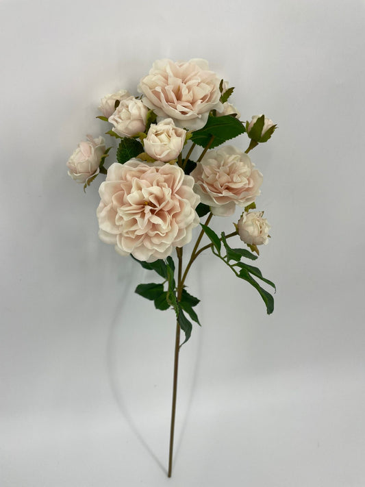 FN20075 SPRAY ROSE (NAT)  21"