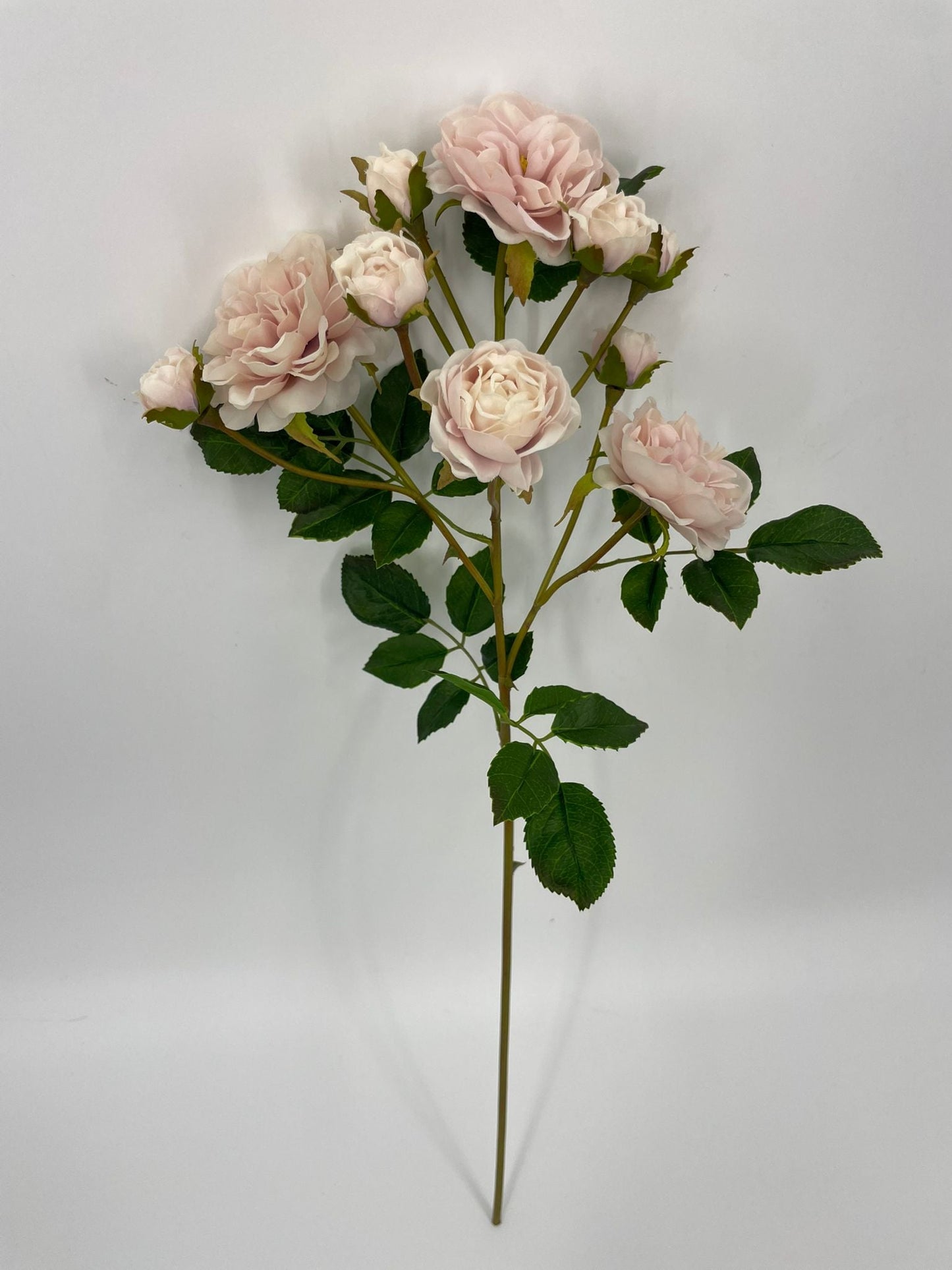 FN20075 SPRAY ROSE (NAT)  21"