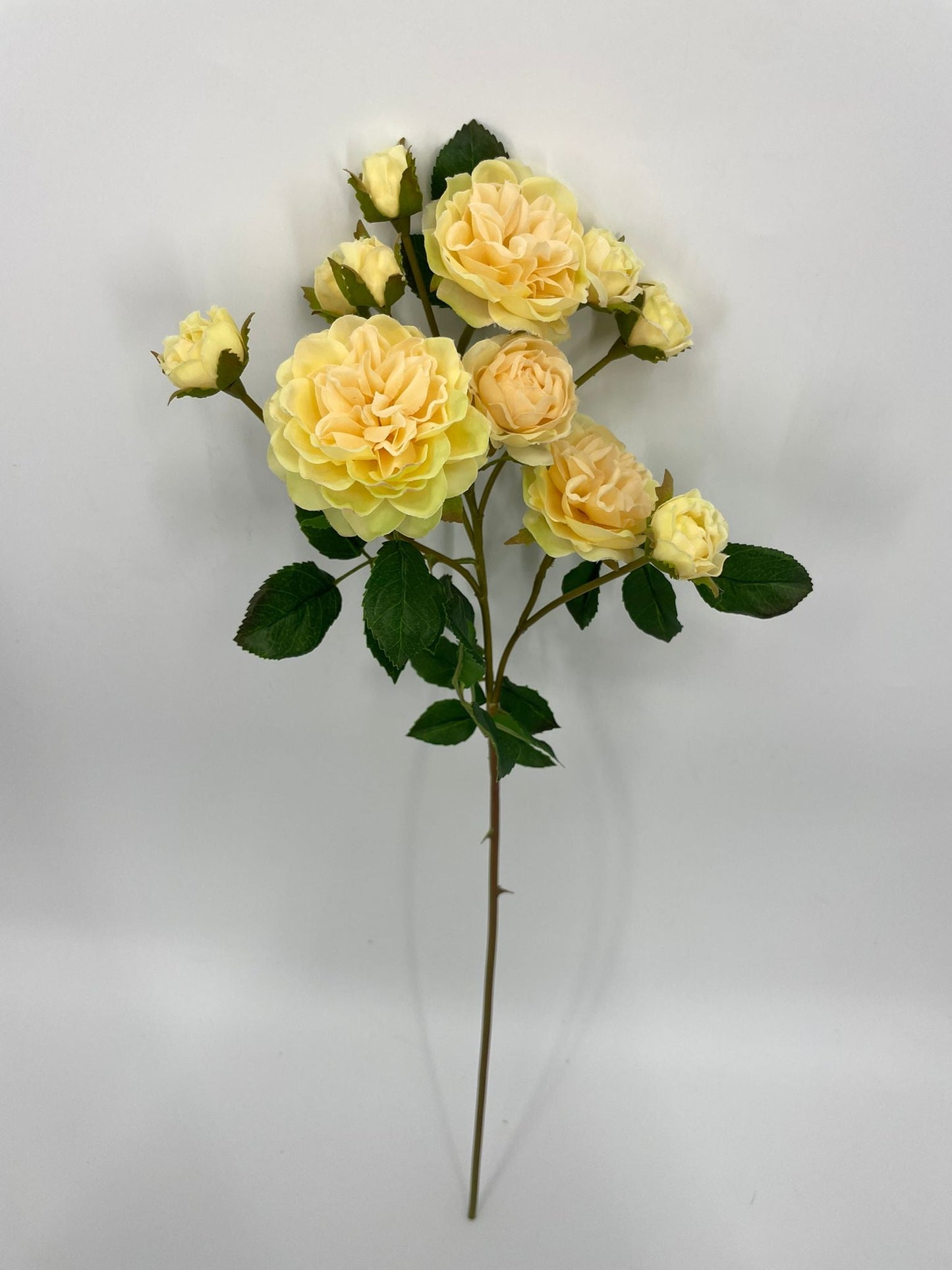 FN20075 SPRAY ROSE (NAT)  21"
